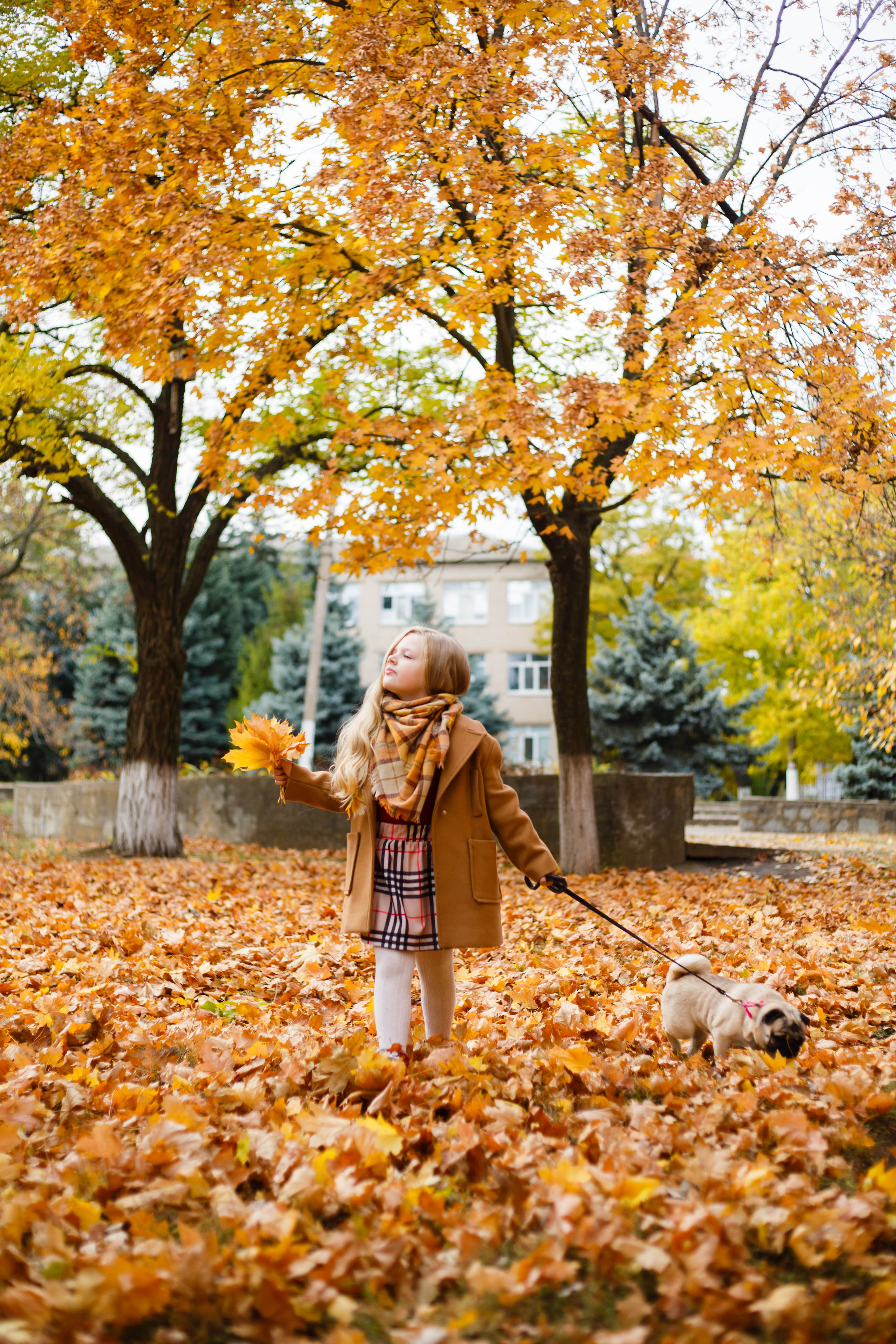 Осінь в Україні. Фотограф в Чернівцях, Фотограф Чернівці