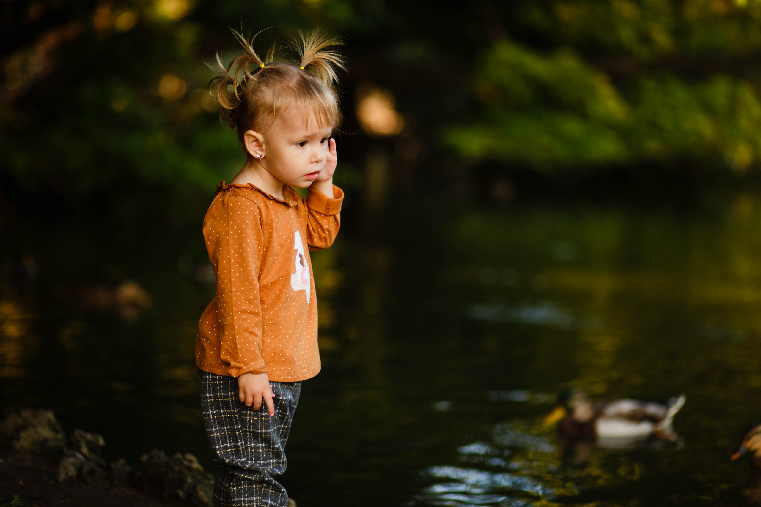 Меланія. Фотограф в Чернівцях, Фотограф Чернівці