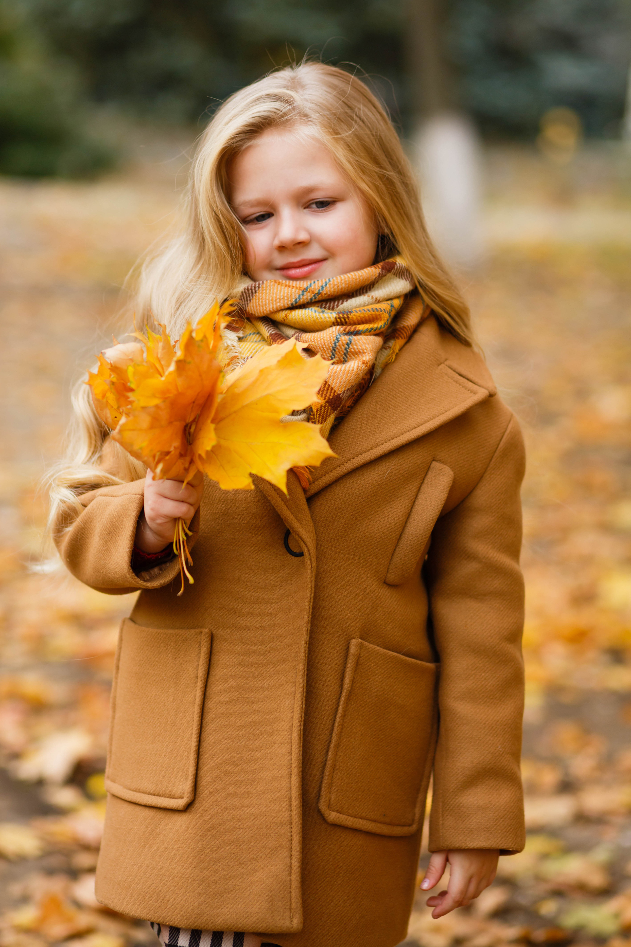 Осінь в Україні. Фотограф в Чернівцях, Фотограф Чернівці