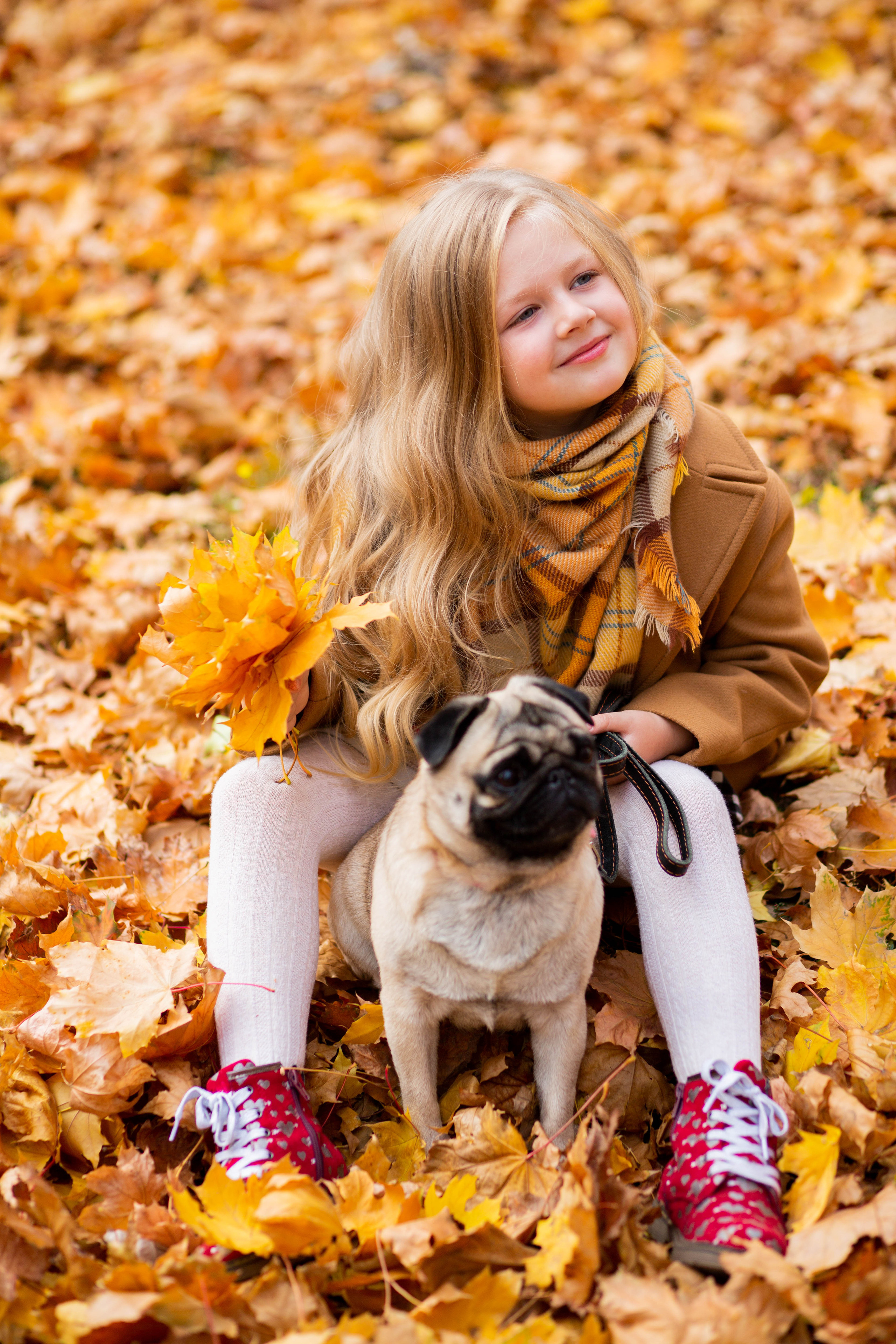 Осінь в Україні. Фотограф в Чернівцях, Фотограф Чернівці