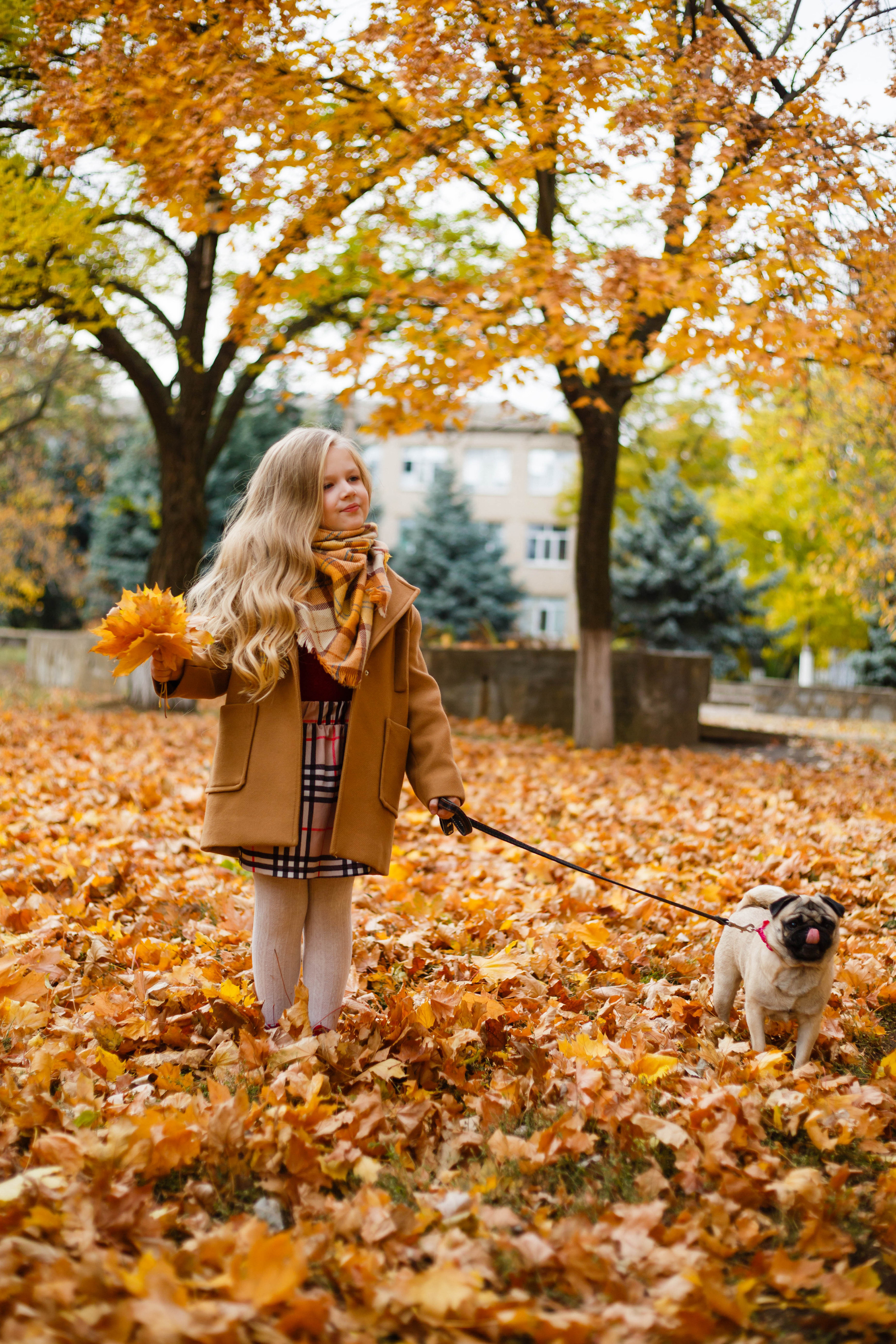 Осінь в Україні. Фотограф в Чернівцях, Фотограф Чернівці