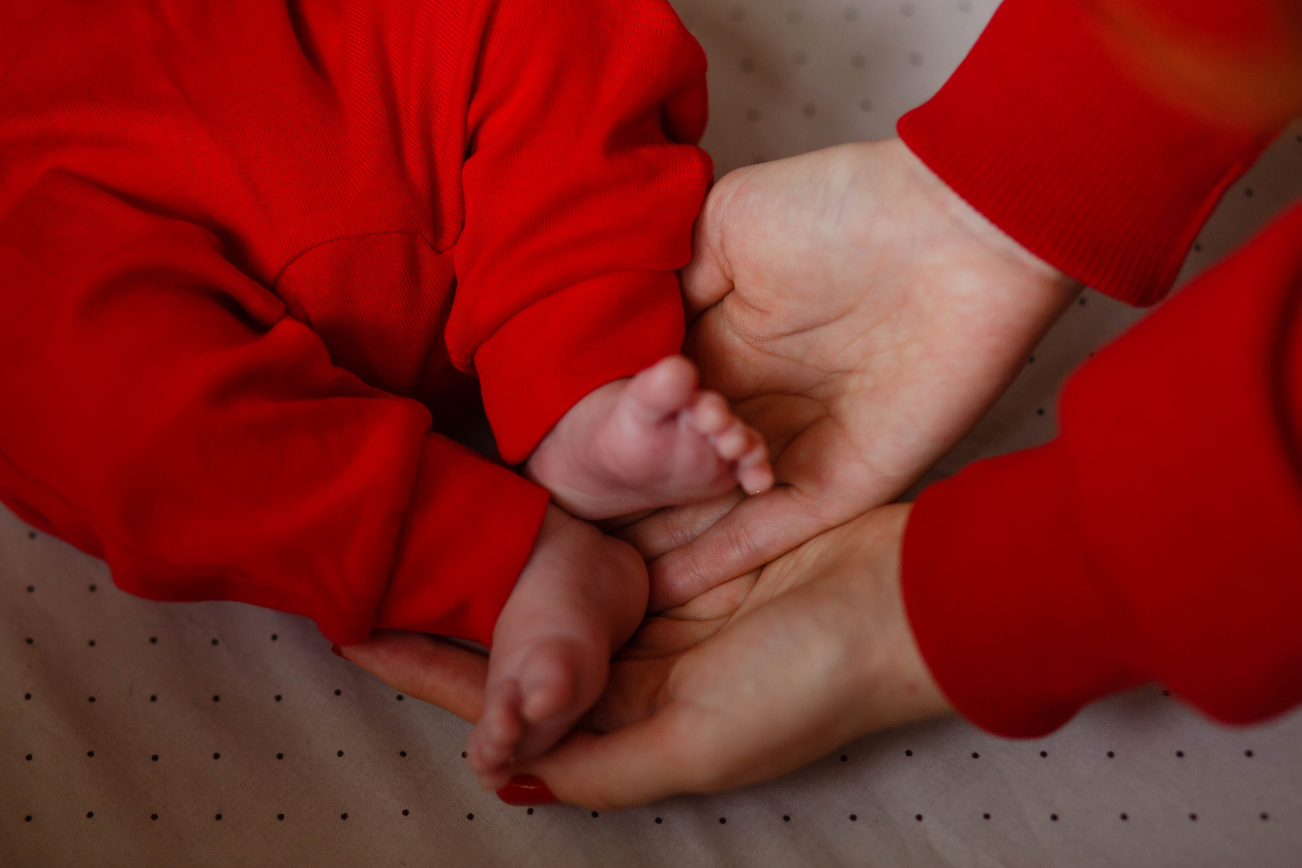 Перше різдво у Софії. Фотограф в Чернівцях, Фотограф Чернівці