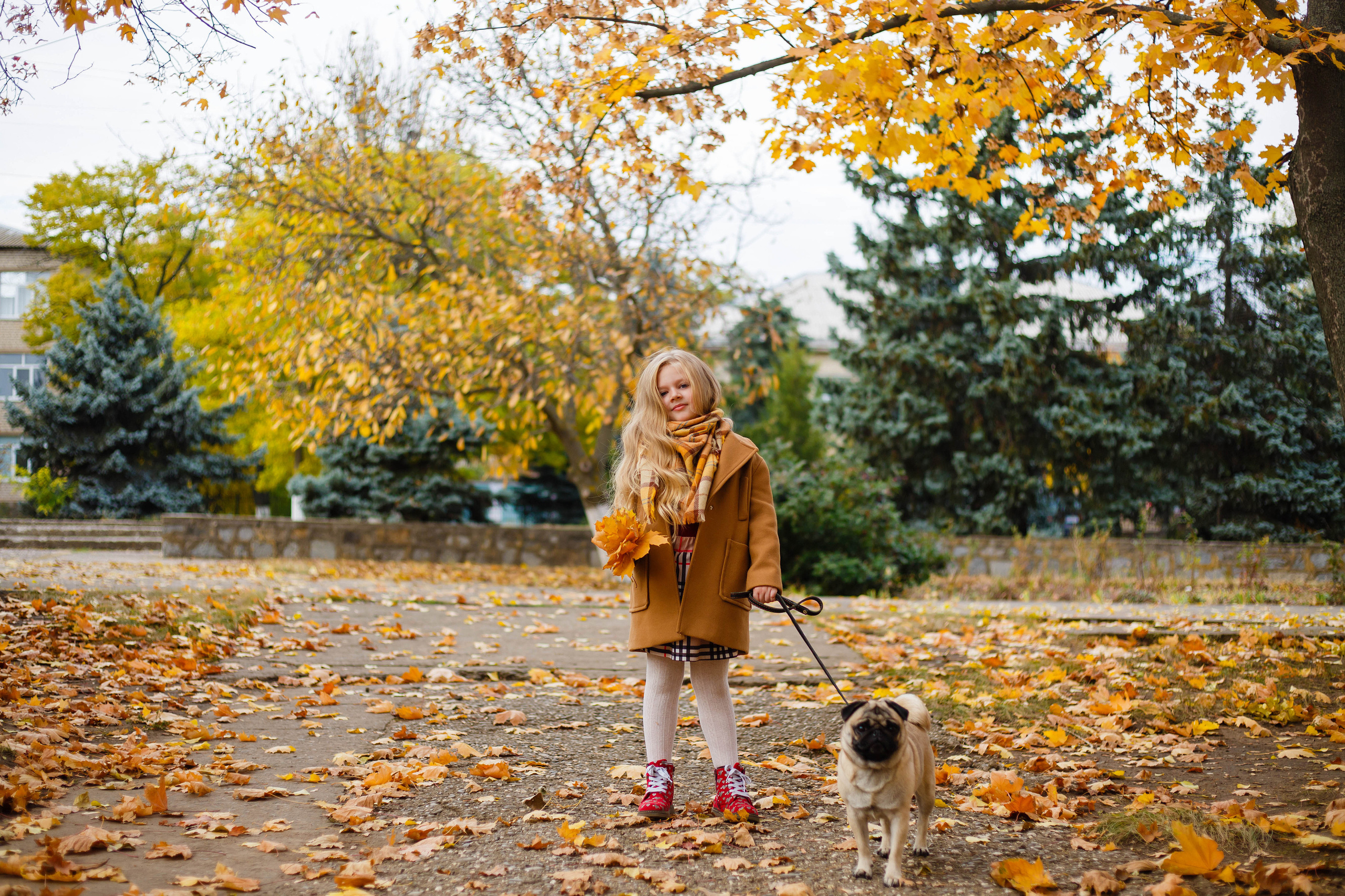 Осінь в Україні. Фотограф в Чернівцях, Фотограф Чернівці