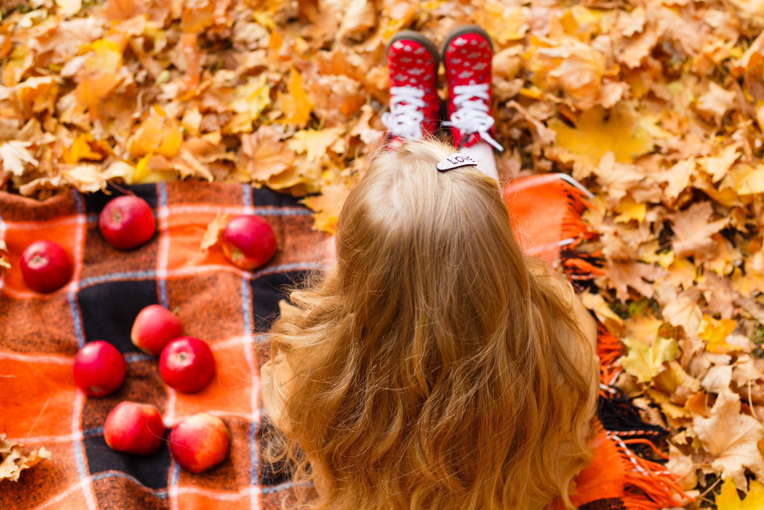 Осінь в Україні. Фотограф в Чернівцях, Фотограф Чернівці