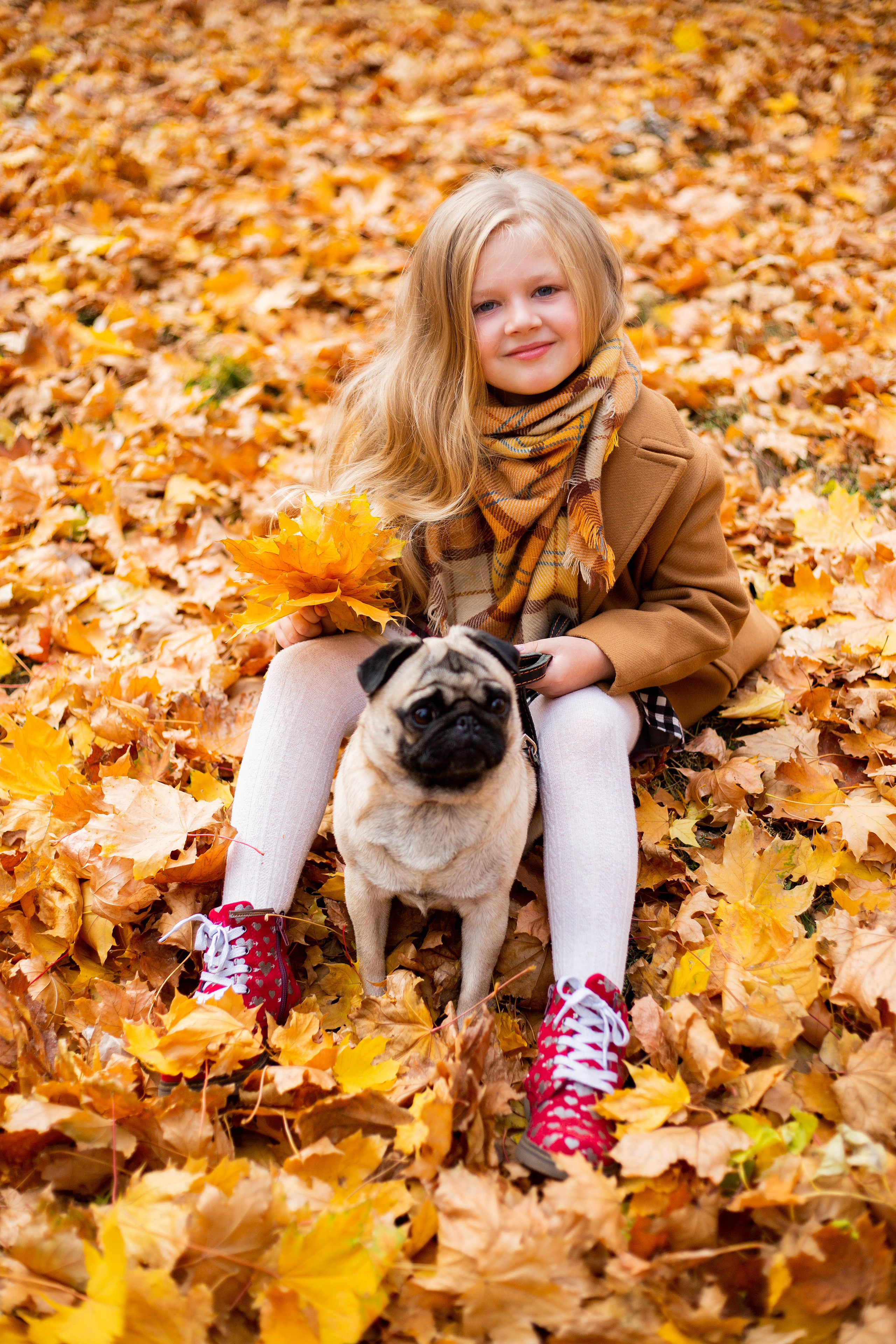 Осінь в Україні. Фотограф в Чернівцях, Фотограф Чернівці