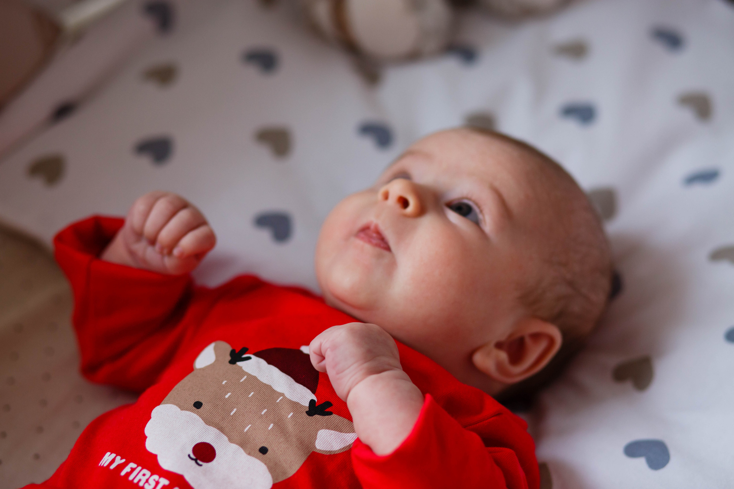 Перше різдво у Софії. Фотограф в Чернівцях, Фотограф Чернівці