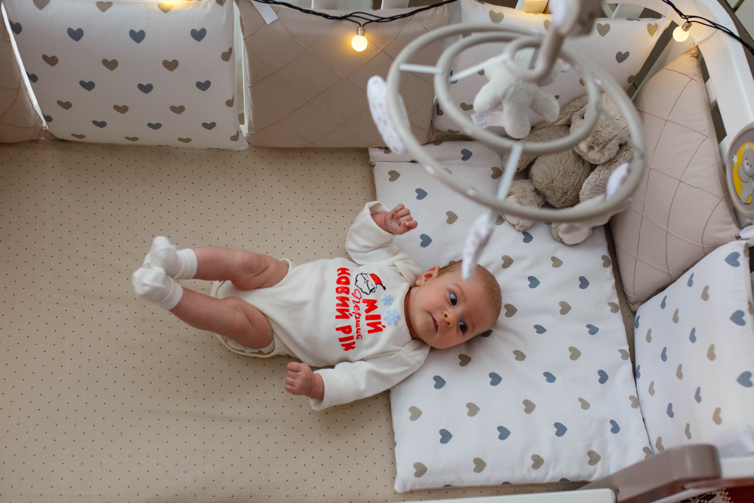 Перше різдво у Софії. Фотограф в Чернівцях, Фотограф Чернівці