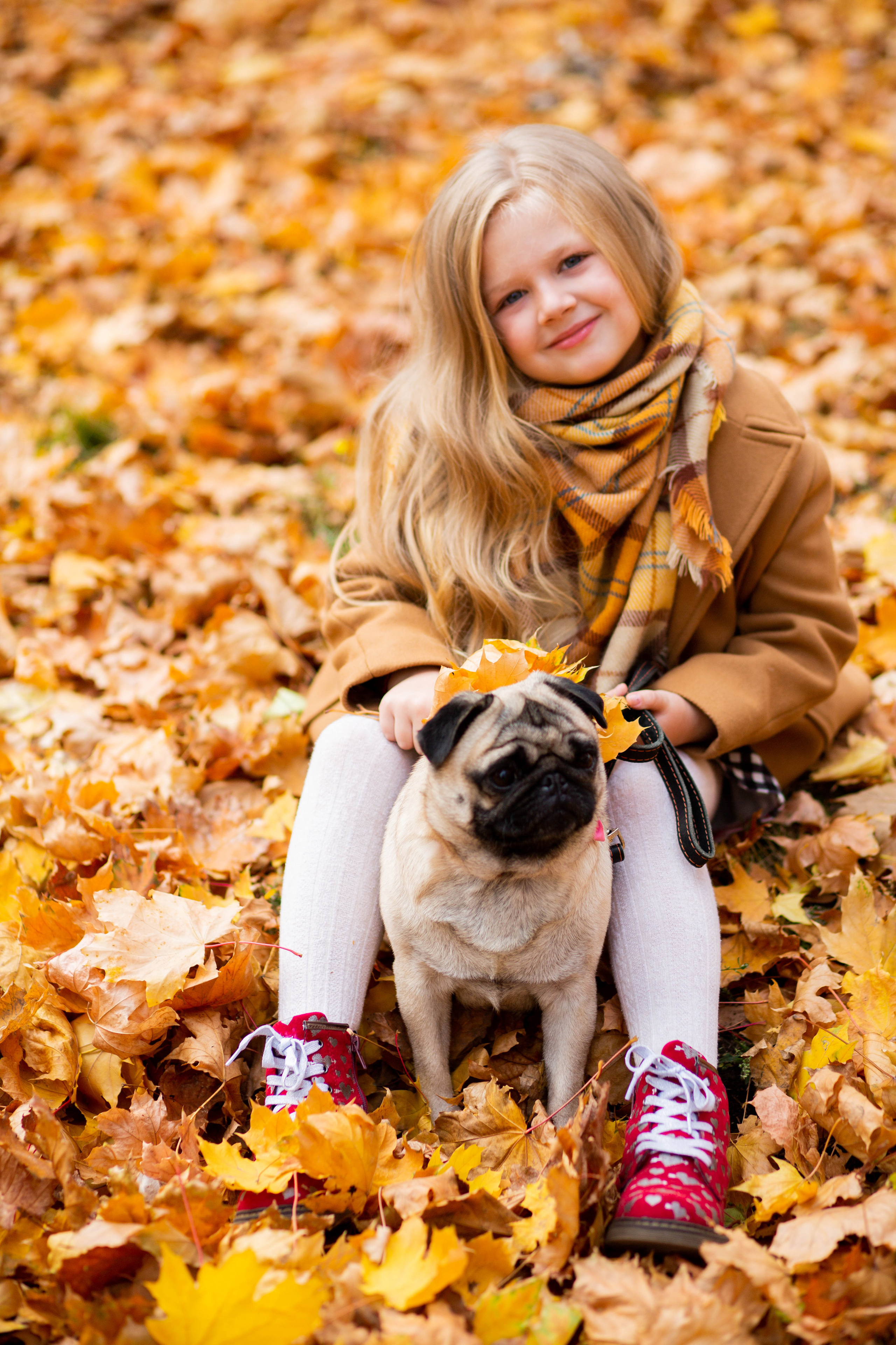 Осінь в Україні. Фотограф в Чернівцях, Фотограф Чернівці