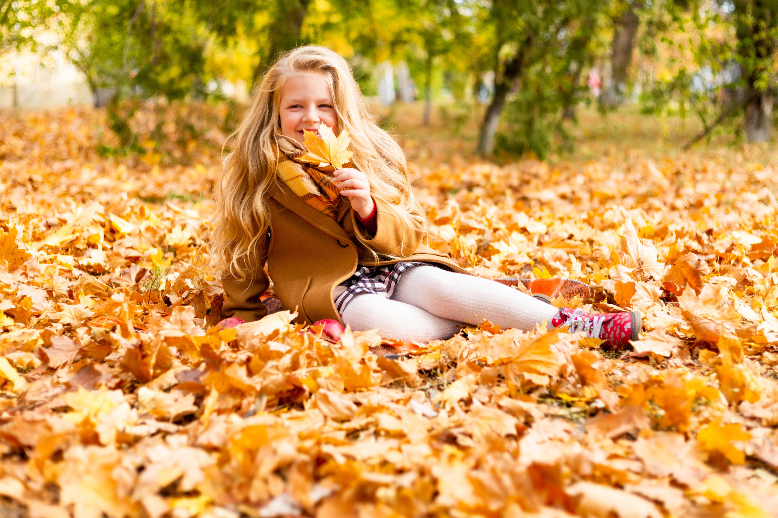 Осінь в Україні. Фотограф в Чернівцях, Фотограф Чернівці