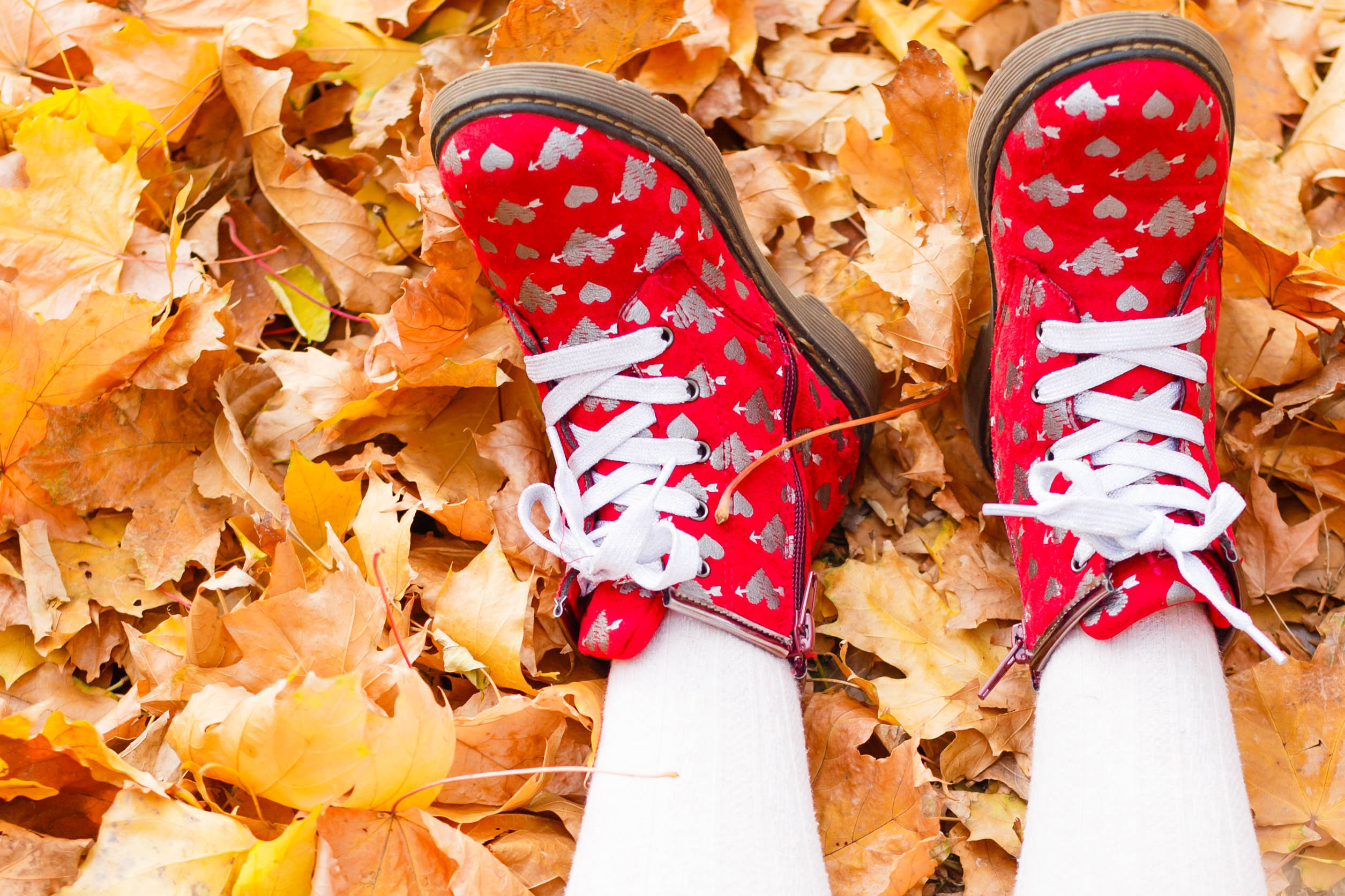 Осінь в Україні. Фотограф в Чернівцях, Фотограф Чернівці