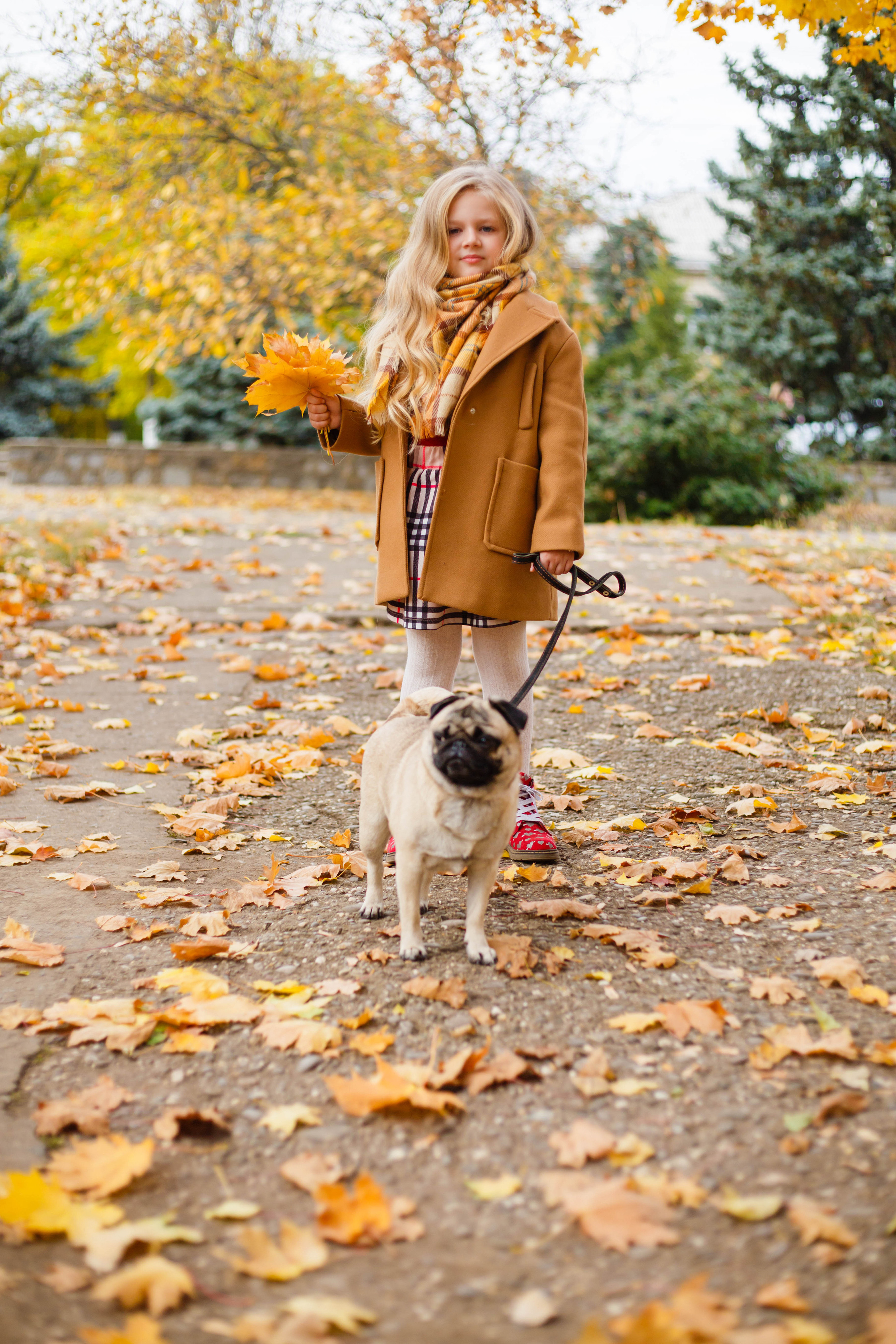 Осінь в Україні. Фотограф в Чернівцях, Фотограф Чернівці