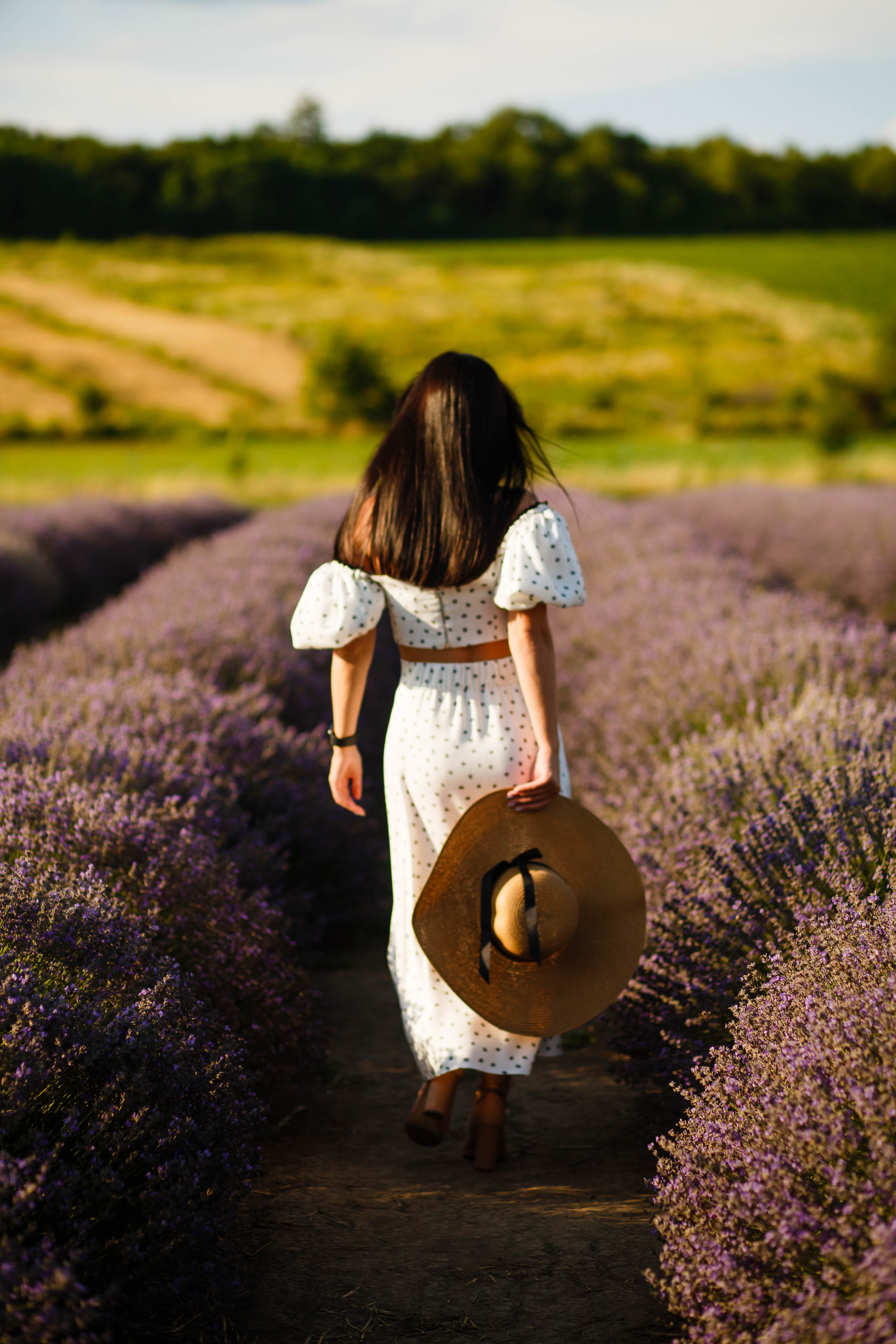 Уляна в лаванді. Фотограф в Чернівцях, Фотограф Чернівці