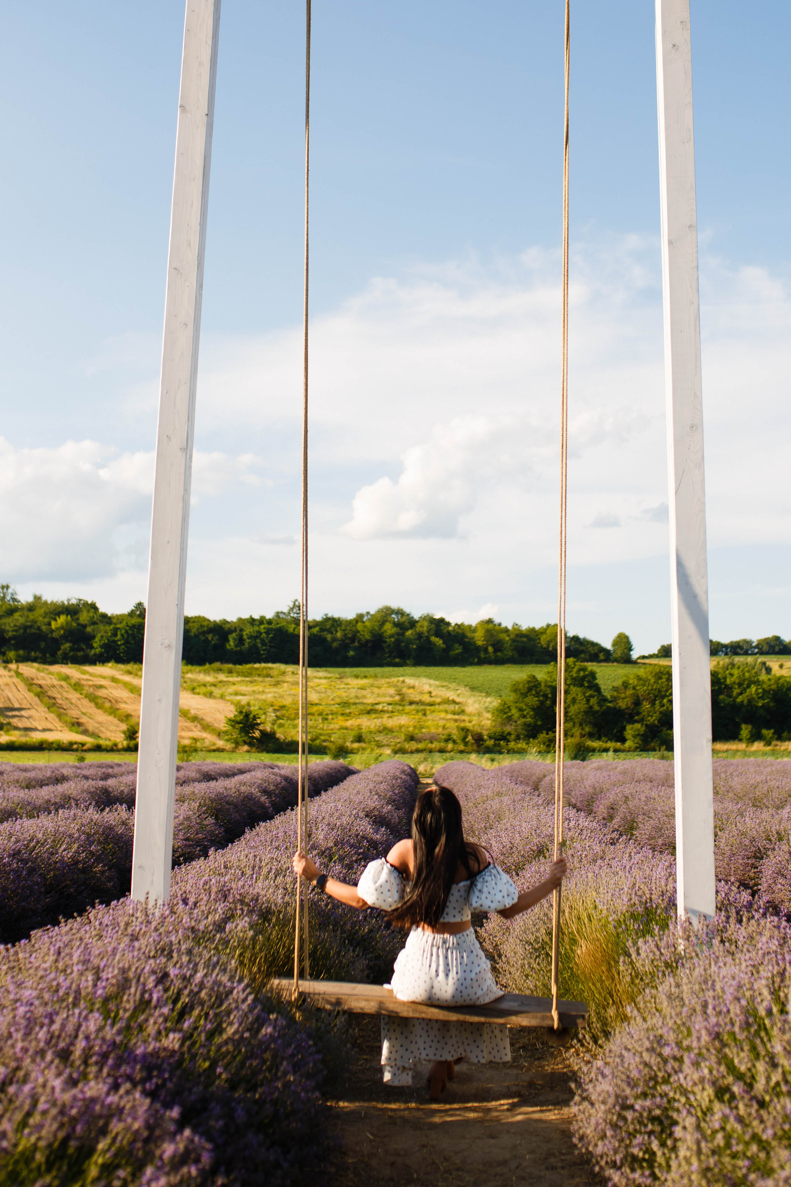 Уляна в лаванді. Фотограф в Чернівцях, Фотограф Чернівці