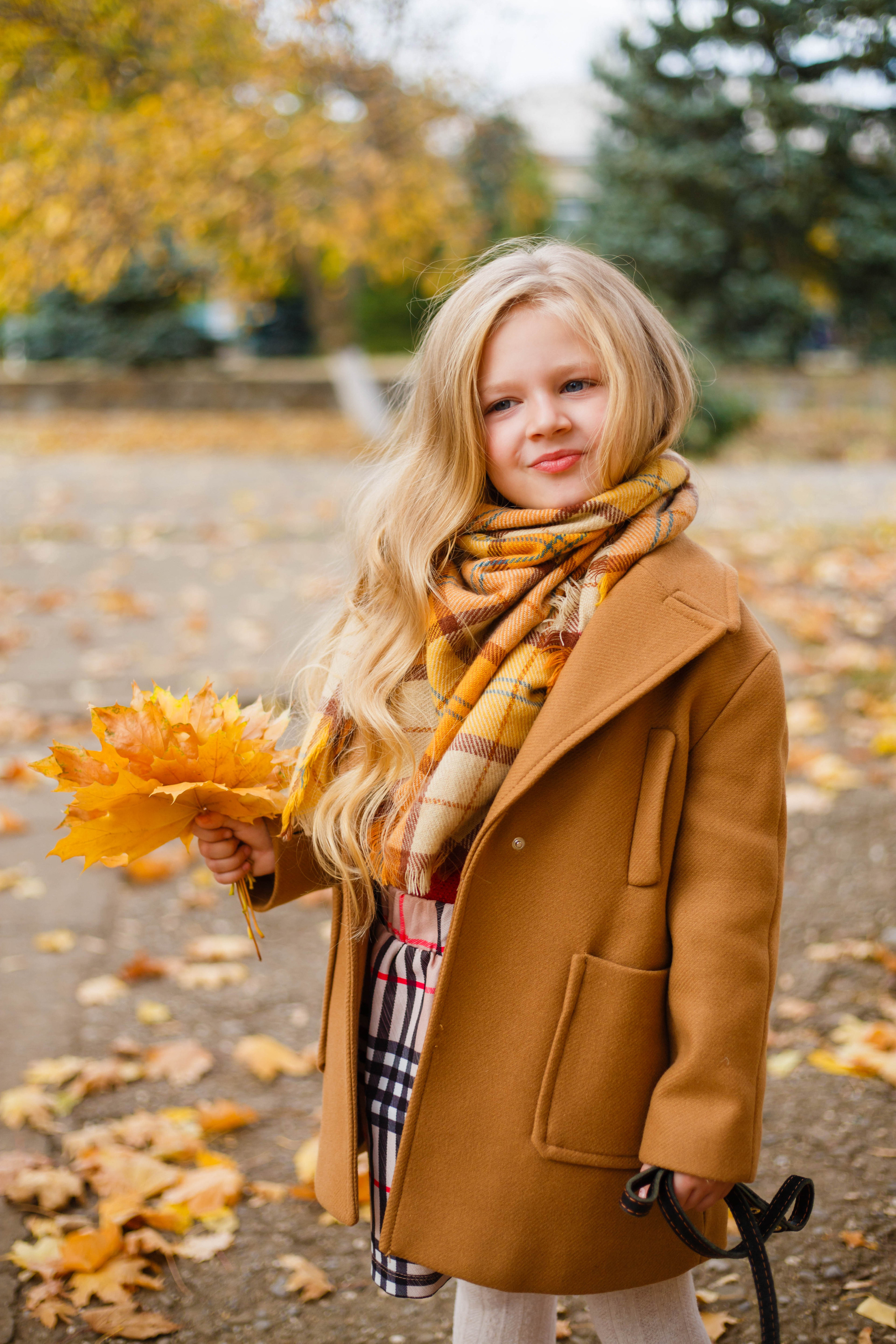 Осінь в Україні. Фотограф в Чернівцях, Фотограф Чернівці