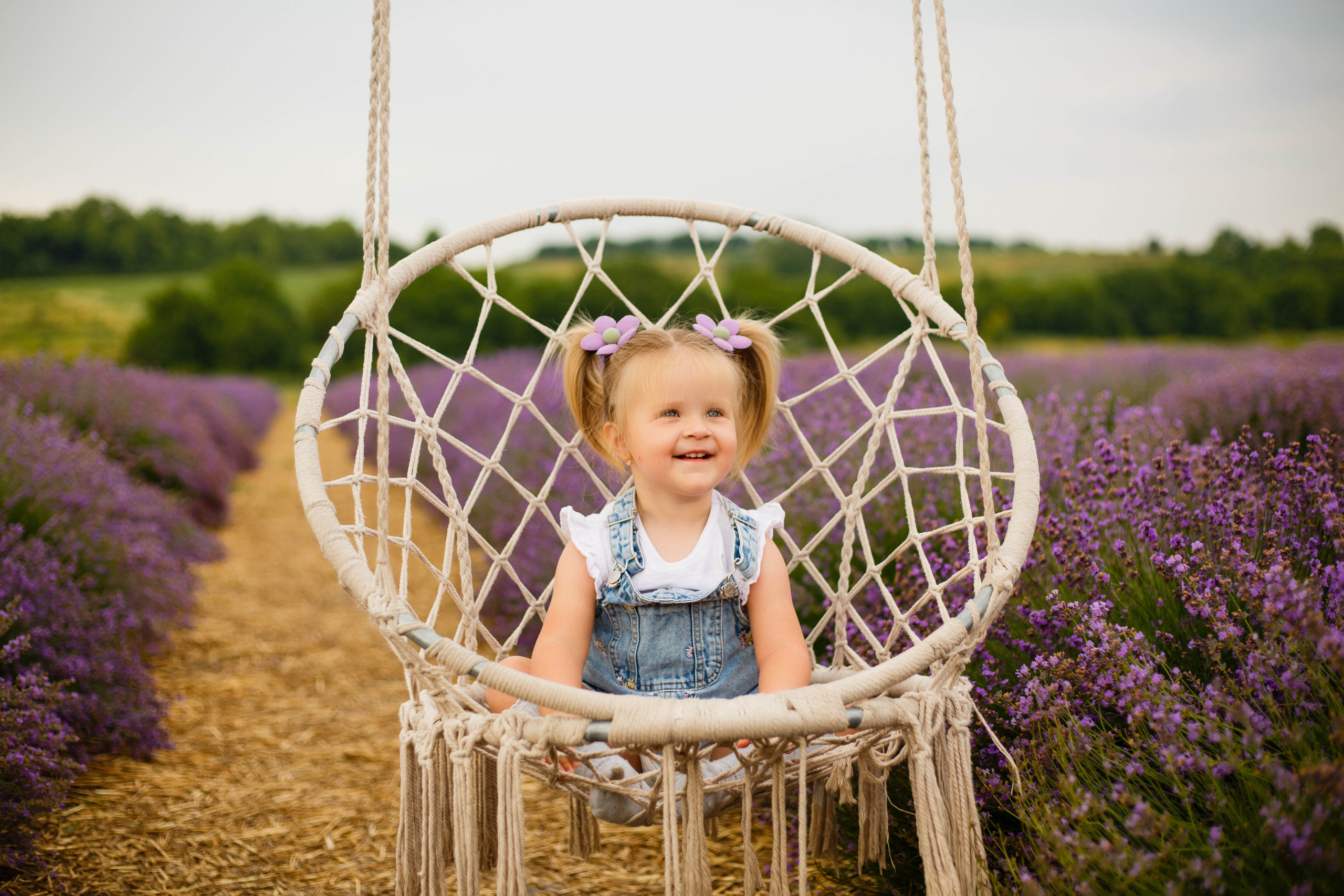 Лавандовий затишок. Фотограф в Чернівцях, Фотограф Чернівці