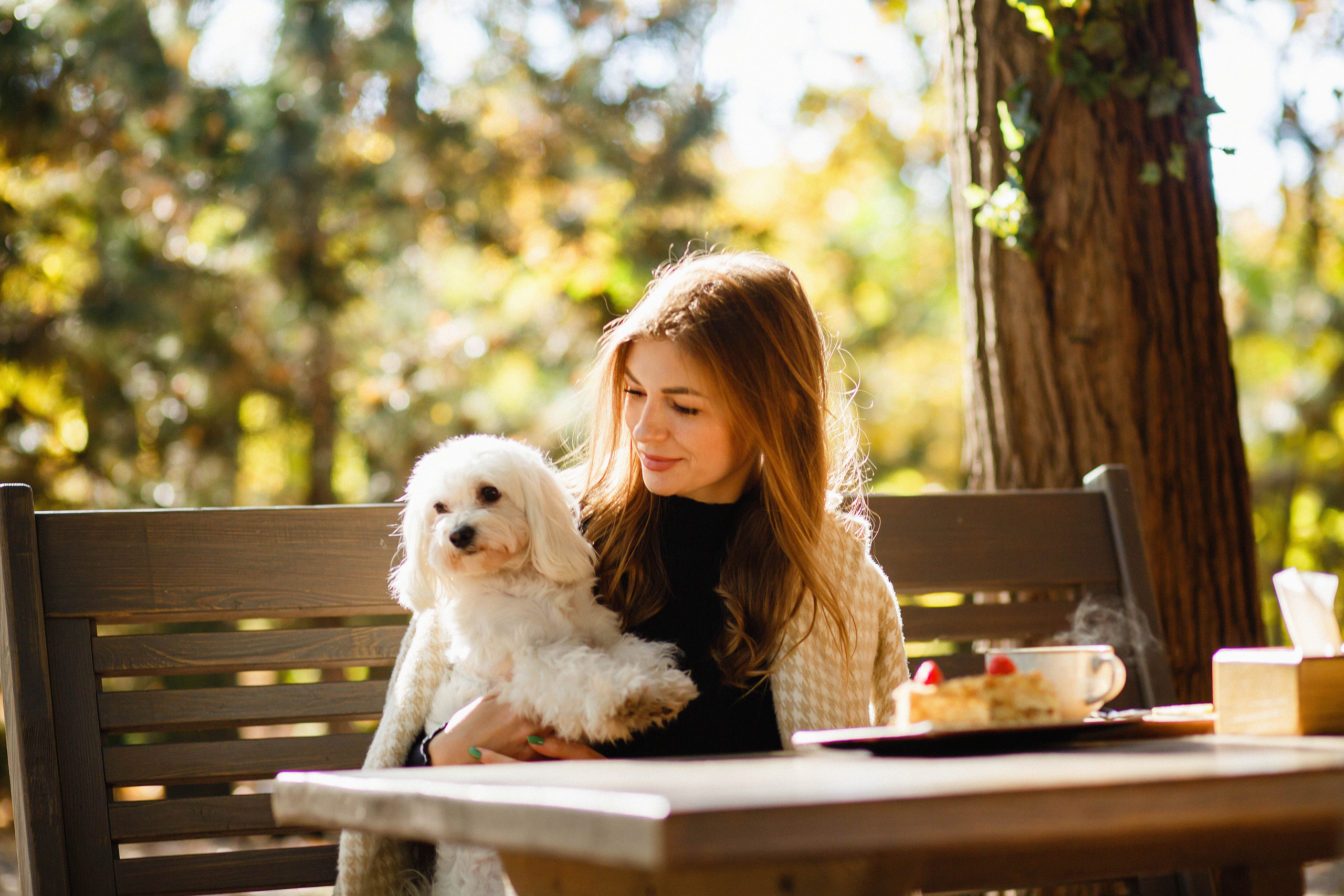 Вікторія. Фотограф в Чернівцях, Фотограф Чернівці