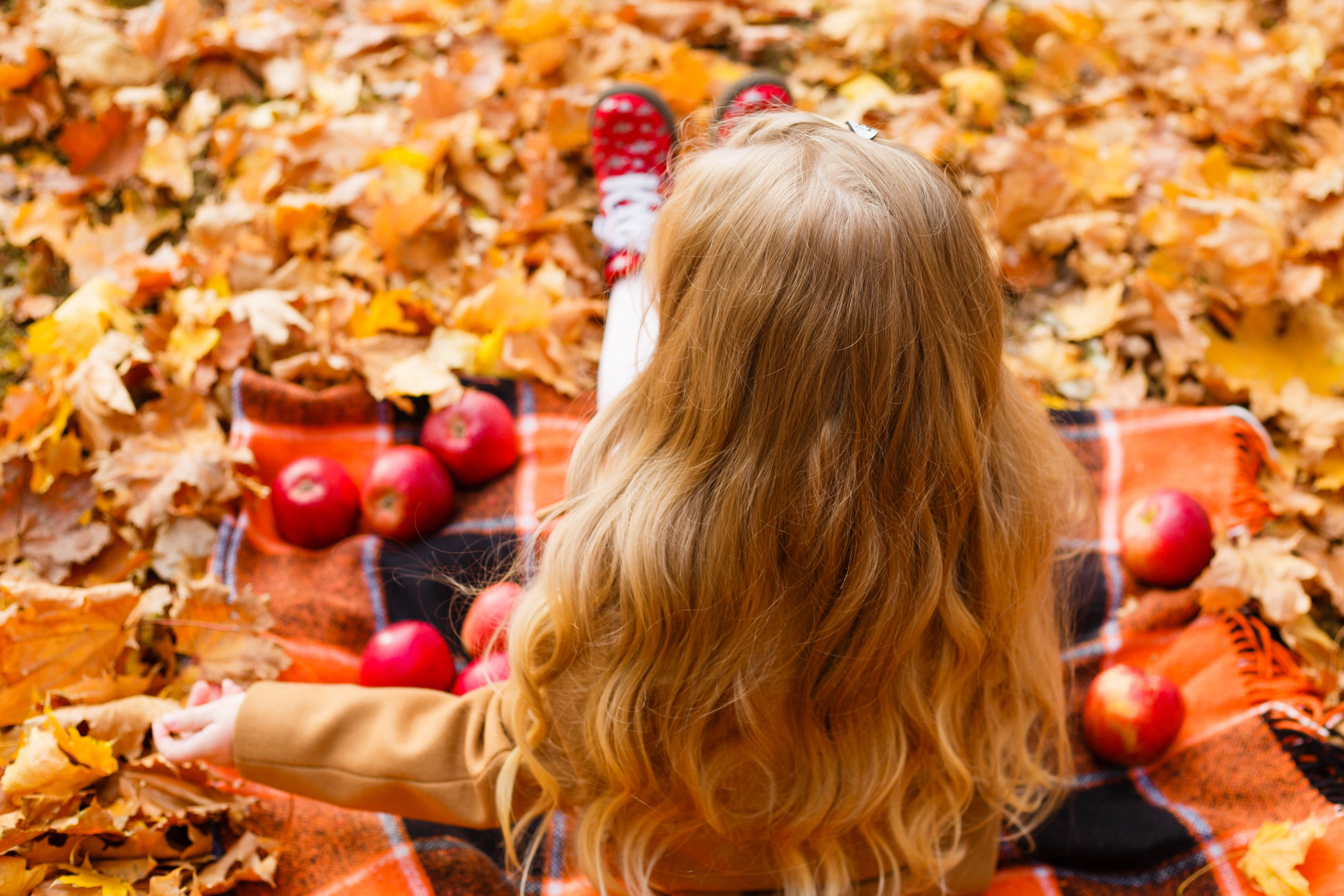 Осінь в Україні. Фотограф в Чернівцях, Фотограф Чернівці