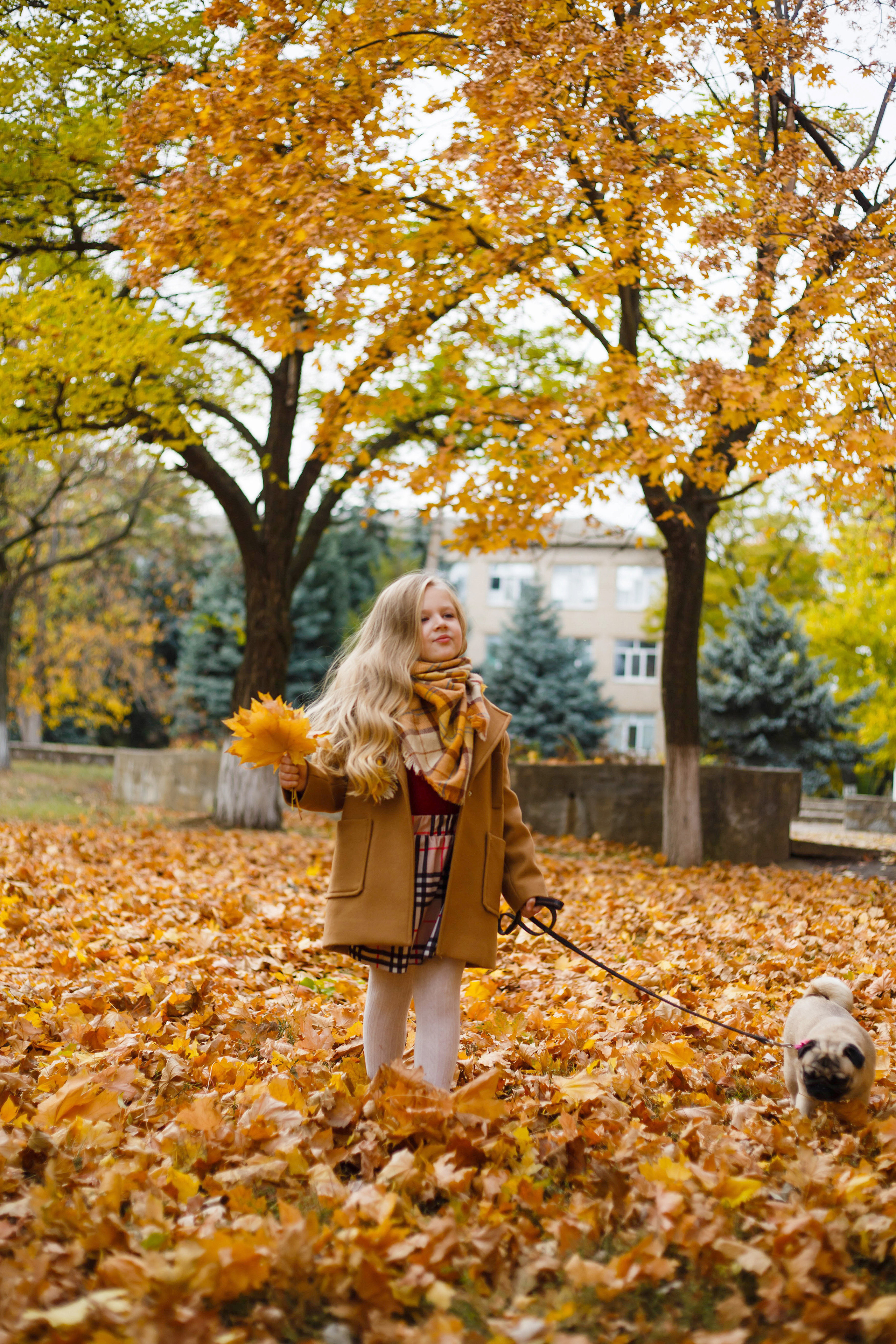 Осінь в Україні. Фотограф в Чернівцях, Фотограф Чернівці