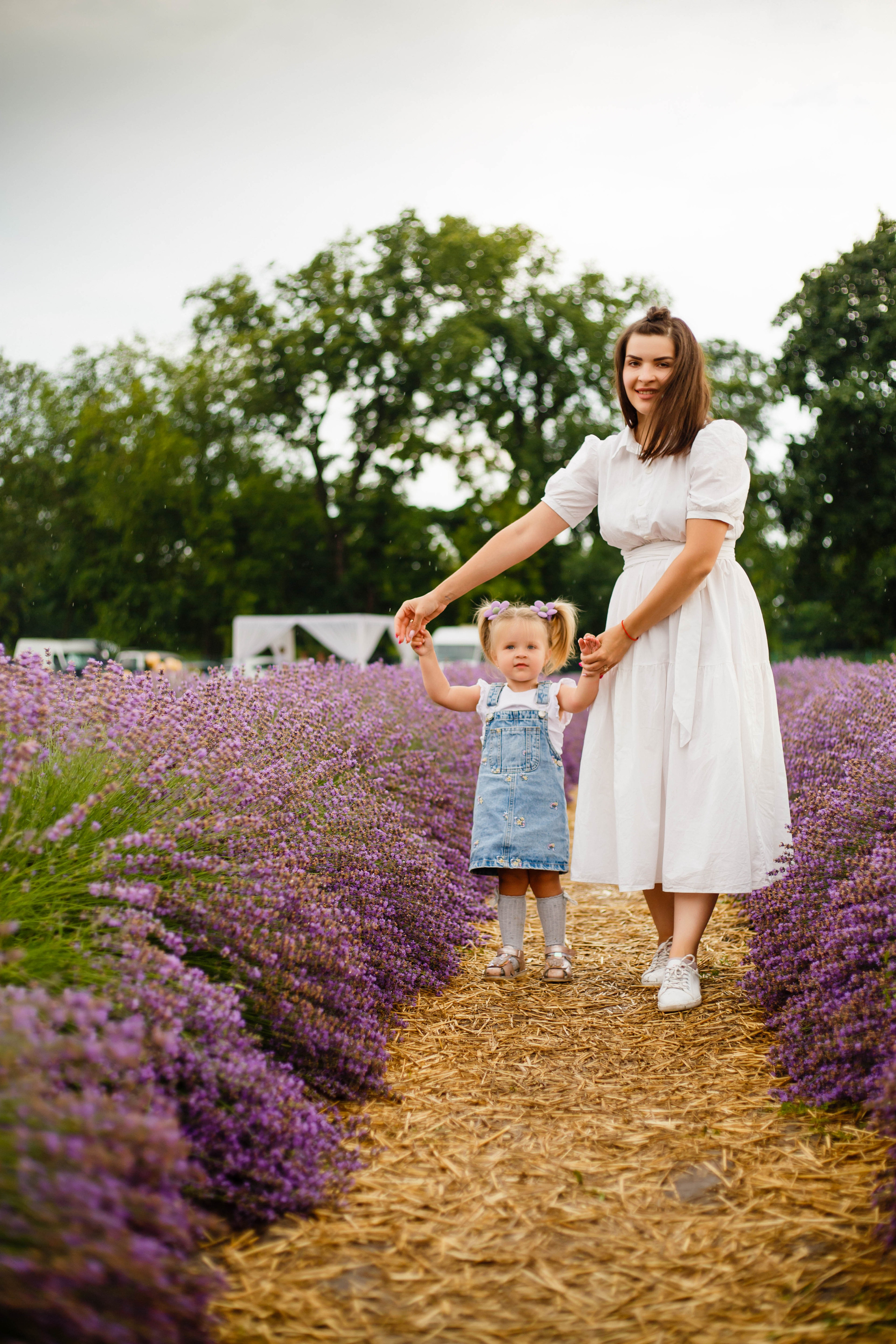 Лавандовий затишок. Фотограф в Чернівцях, Фотограф Чернівці