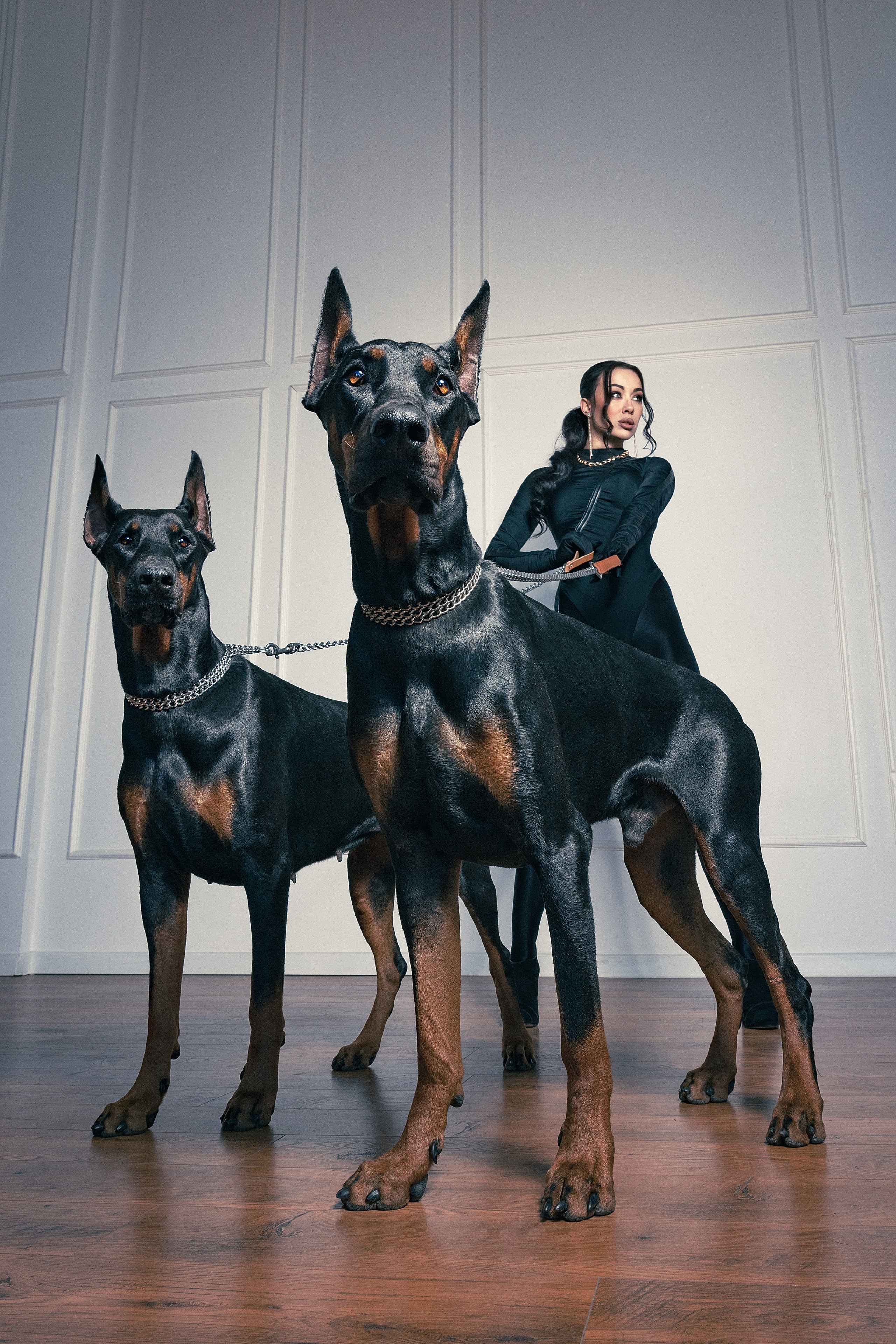 Dobby. TANYA RAMBO | ФОТОГРАФ В ХАРЬКОВЕ