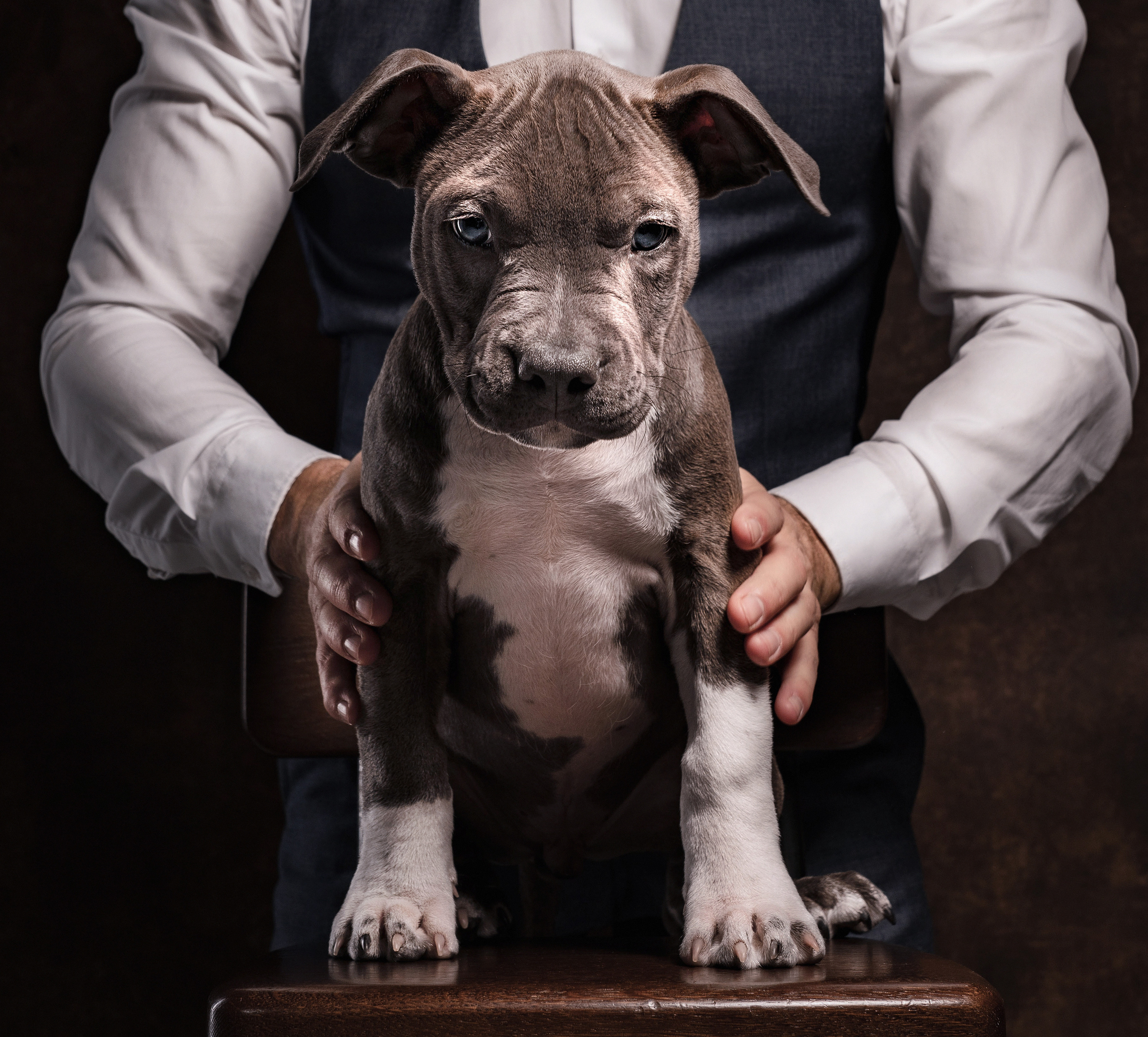 Ваня & Оскар. TANYA RAMBO | ФОТОГРАФ В ХАРЬКОВЕ