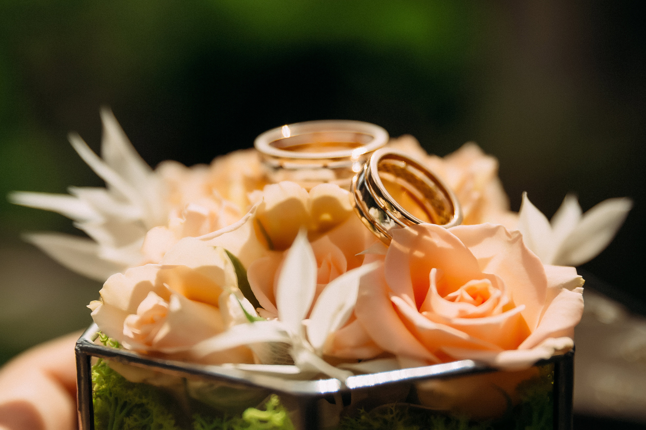 Свадьба Стаса и Марины. Весільний та Репортажний фотограф Іванченко Максим. Дніпро, Україна