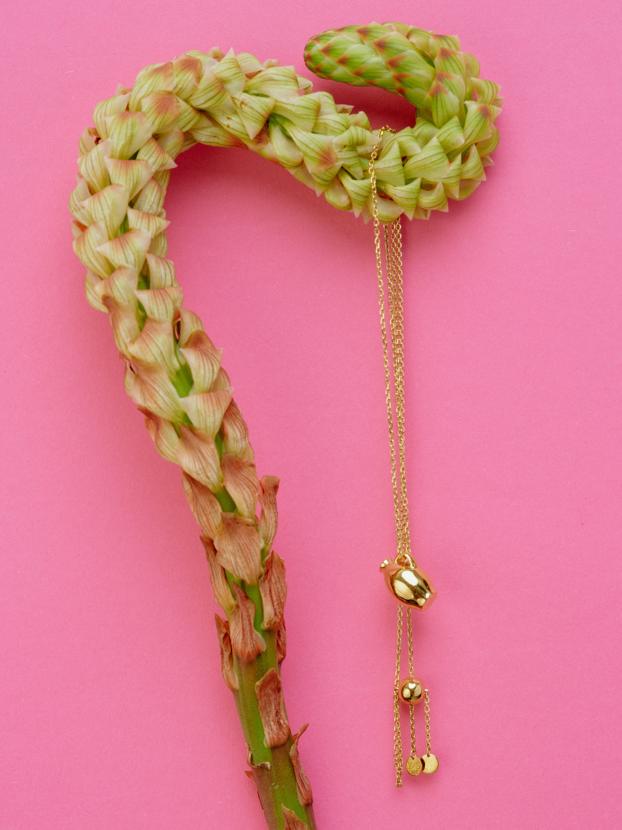 Jewelry. Фотограф Днепр Кирилл Гривенюк