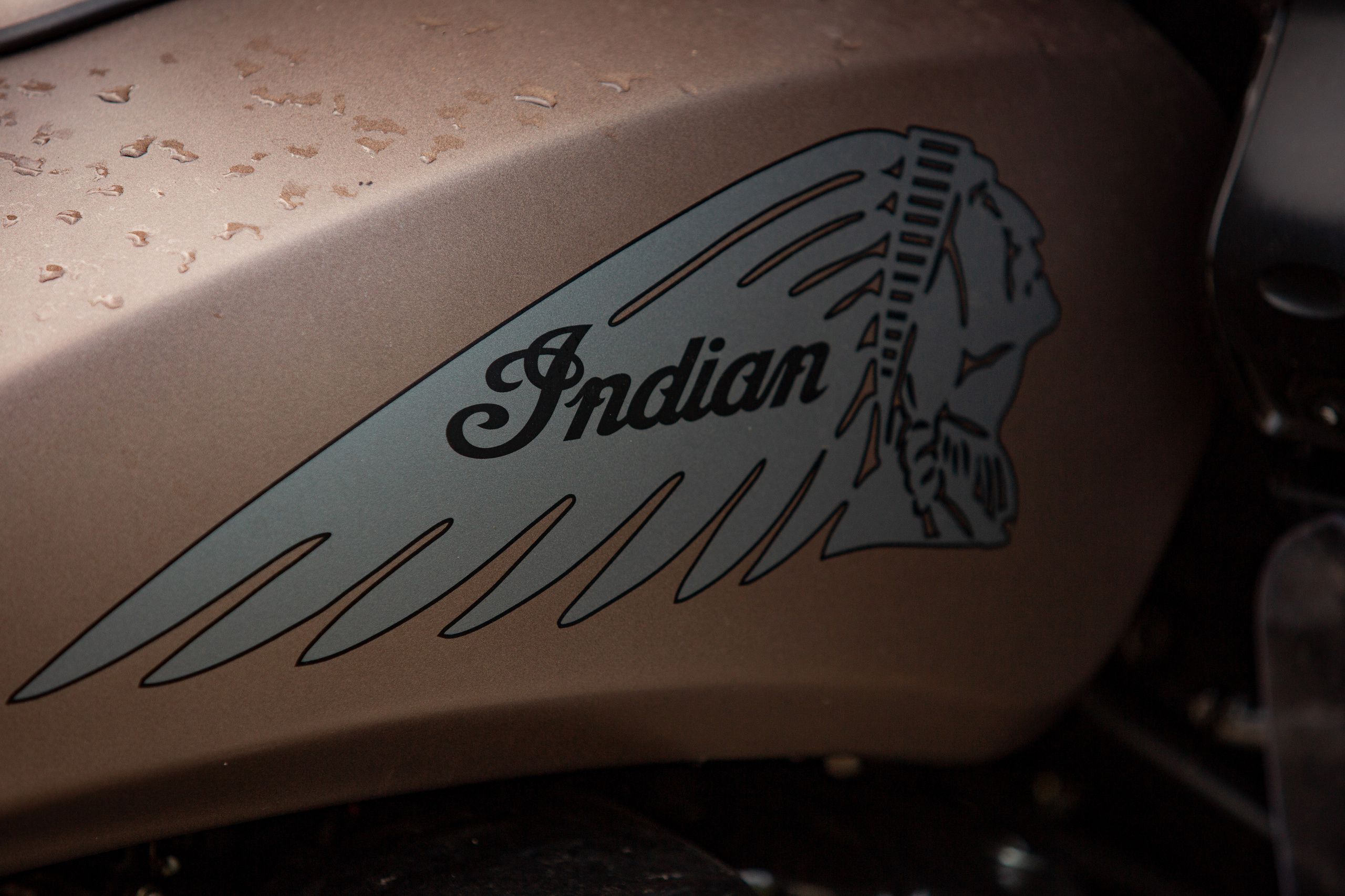 Your events/Reportage. Фотограф Днепр Кирилл Гривенюк