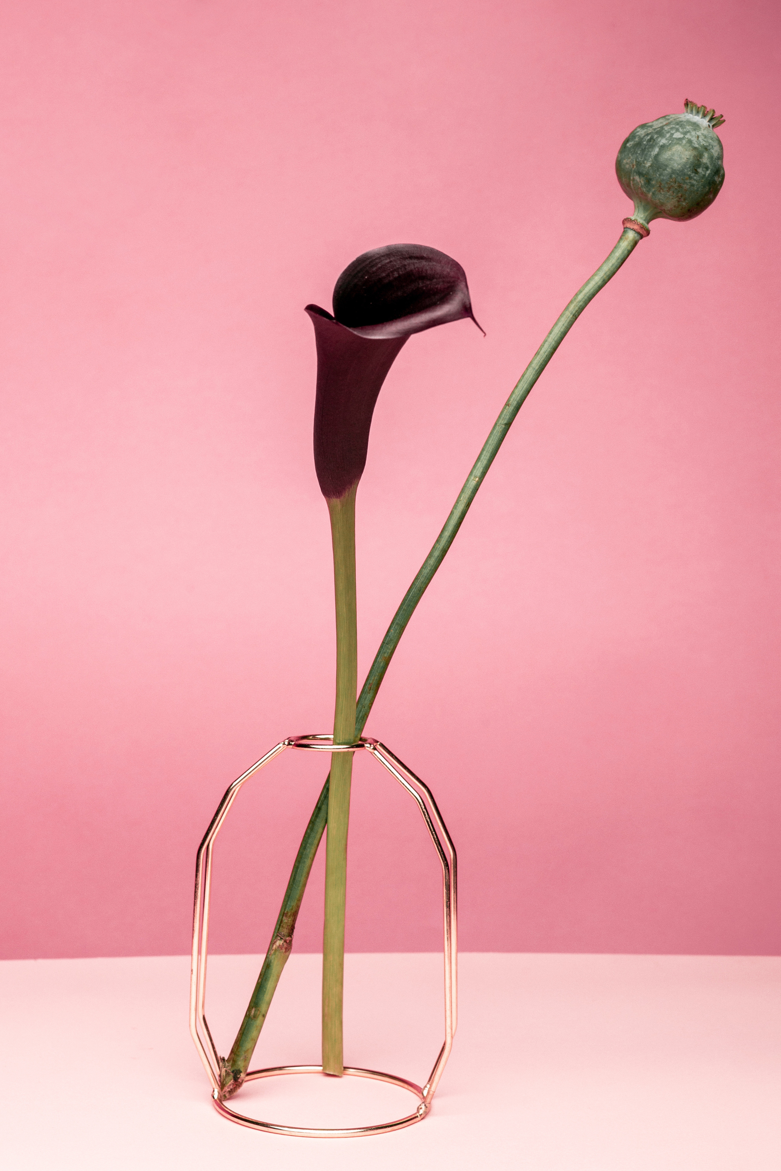 For business. Фотограф Днепр Кирилл Гривенюк