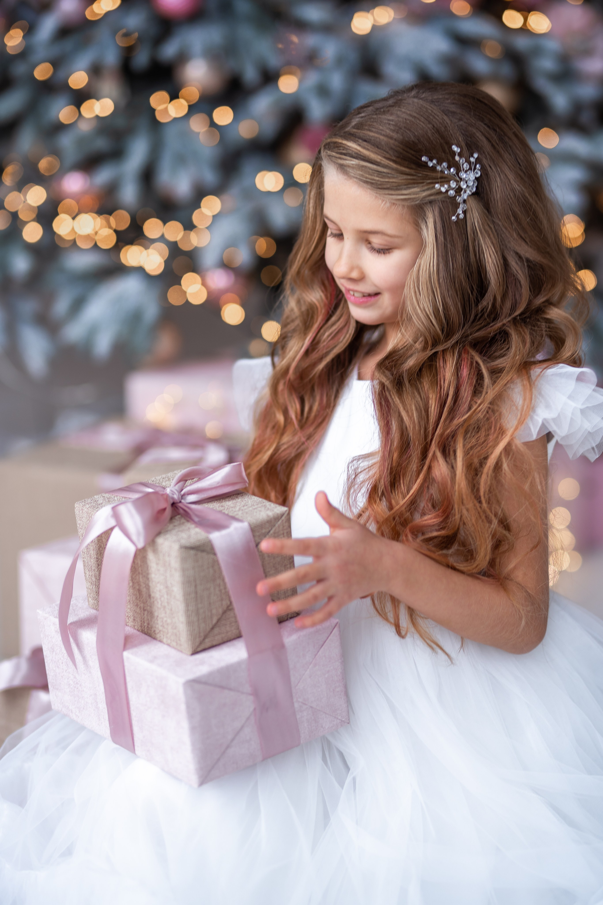 Новорічне портфоліо. Головна