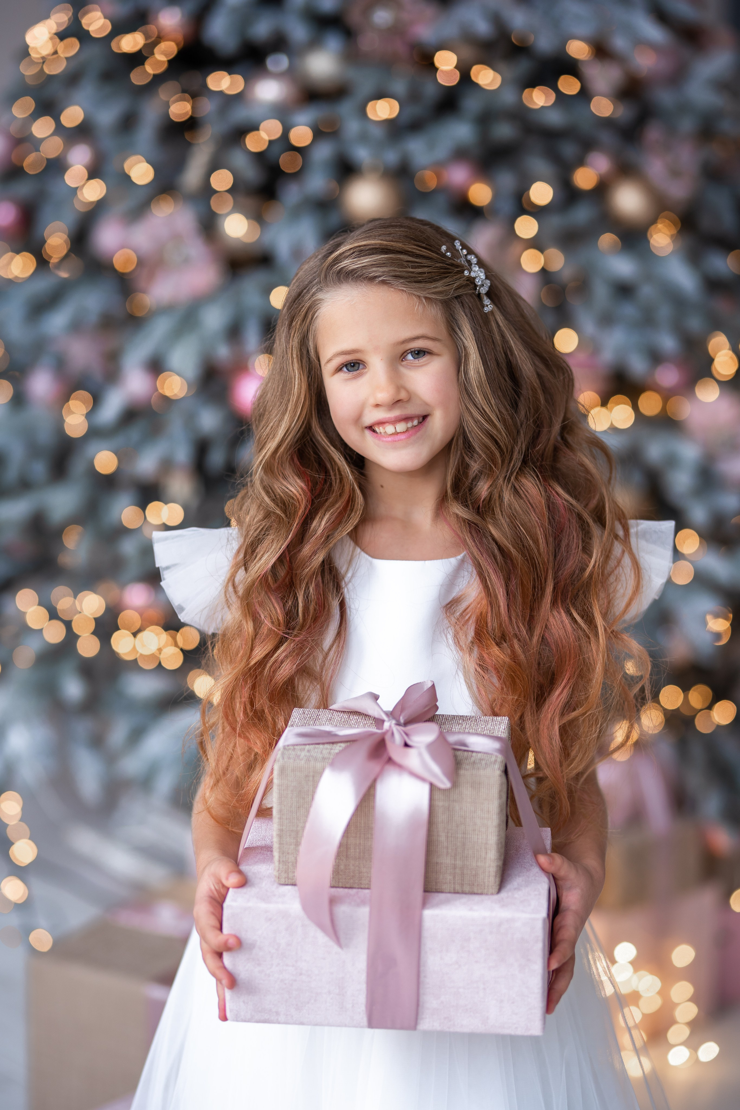 Новорічне портфоліо. Головна