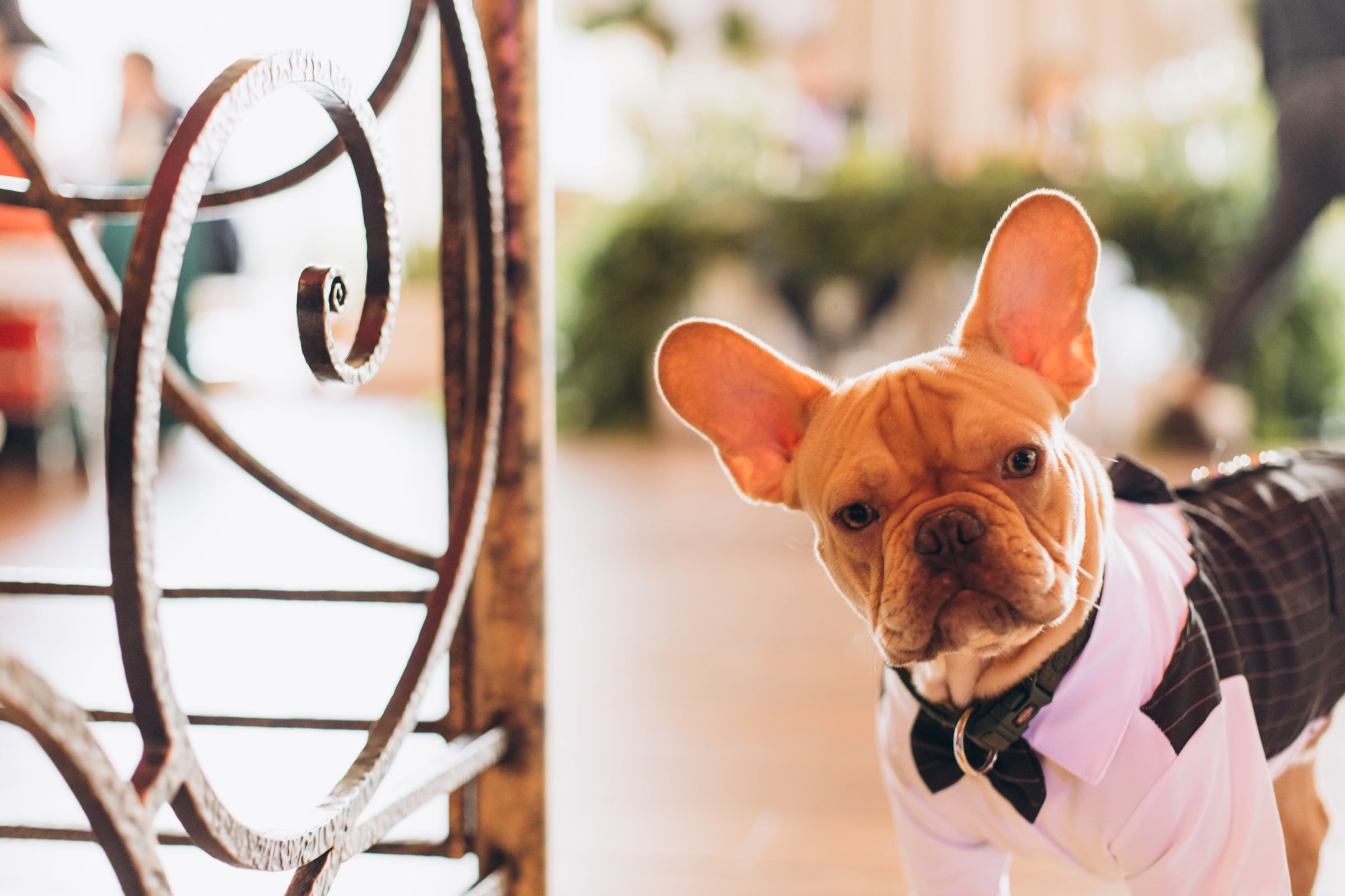 23.03 A&K. Весільний фотограф Влад Костюк