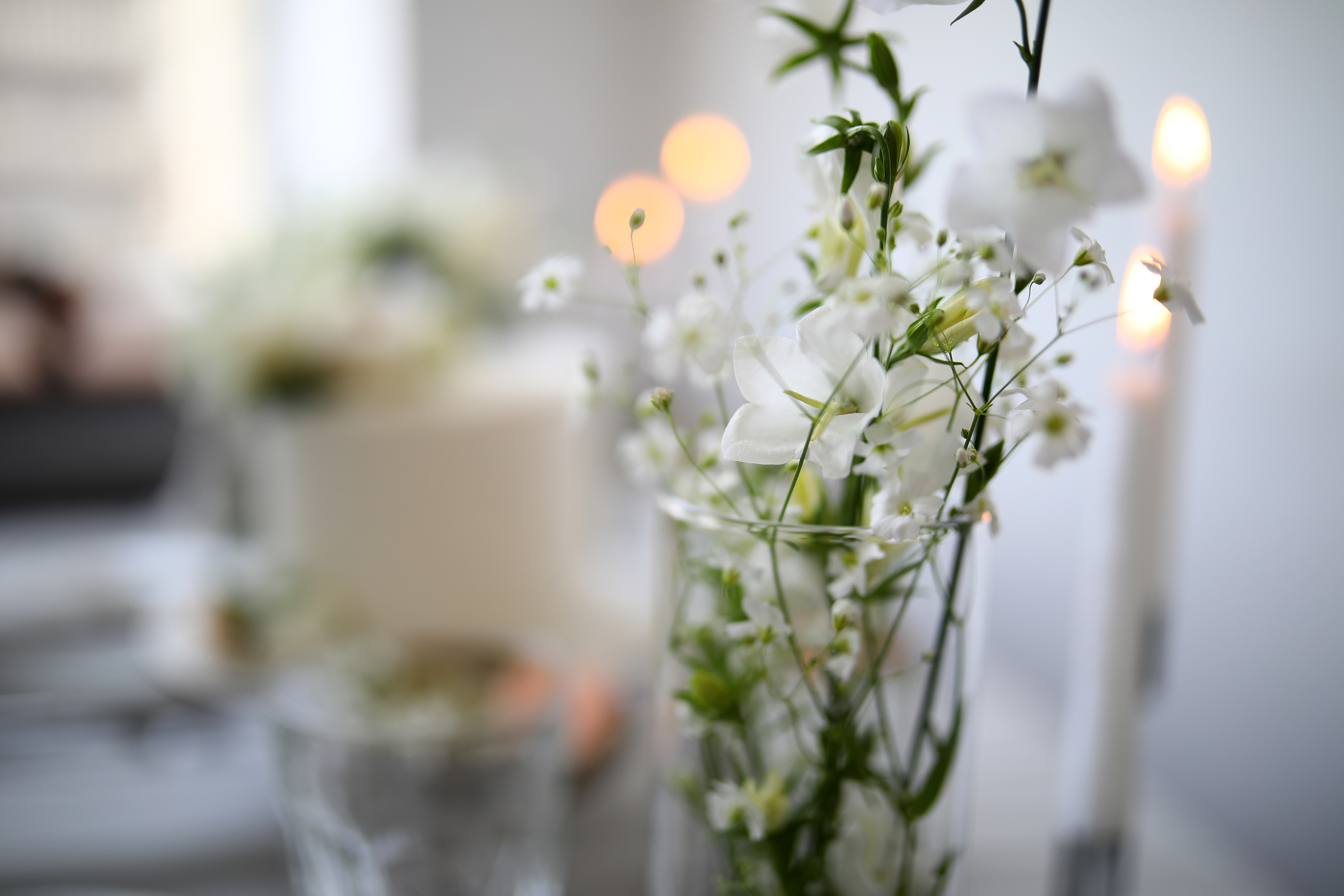 Mila & Alex. Moments de lumière