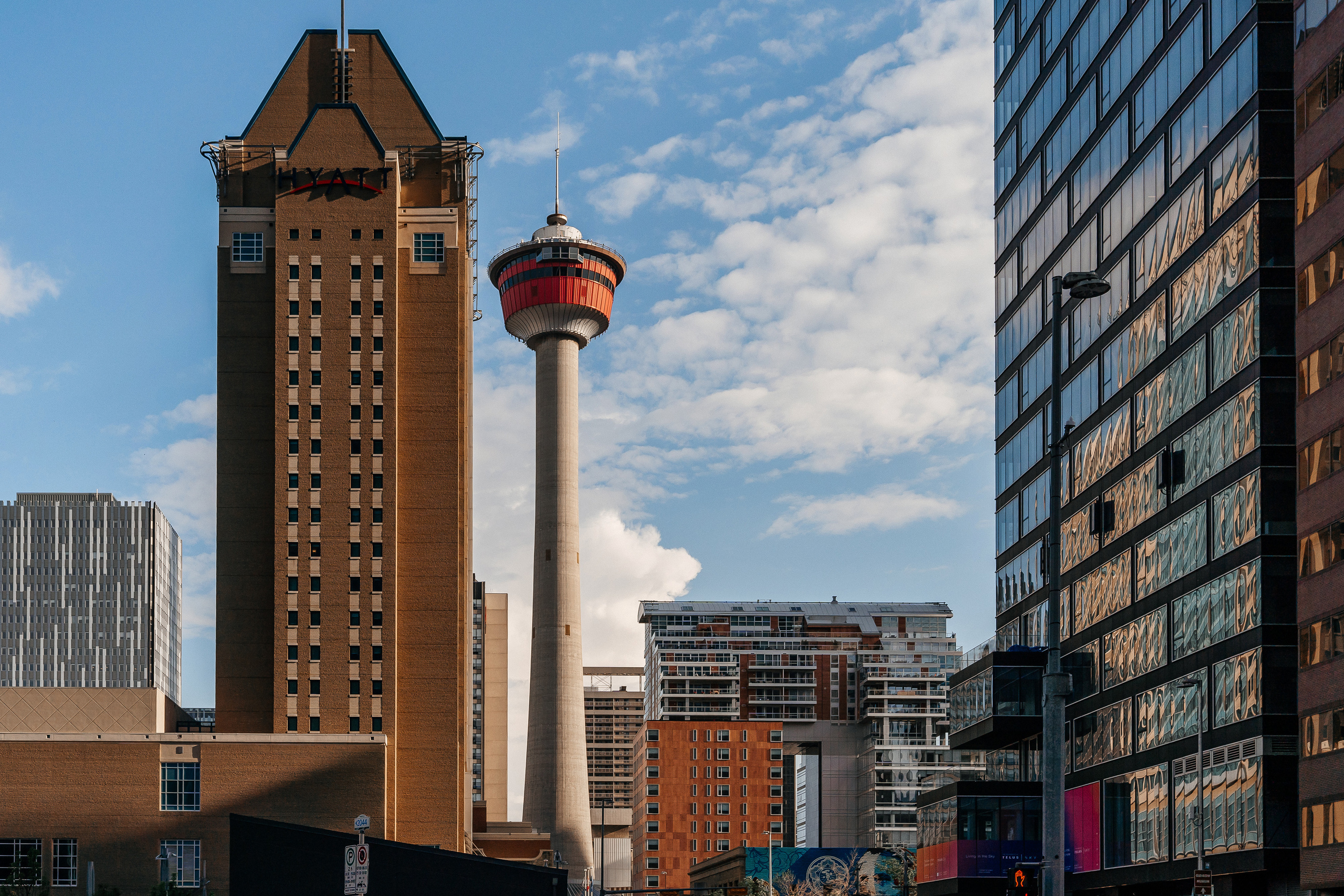 CALGARY Nick&Olha. Wedding and Family Photographer in Calgary