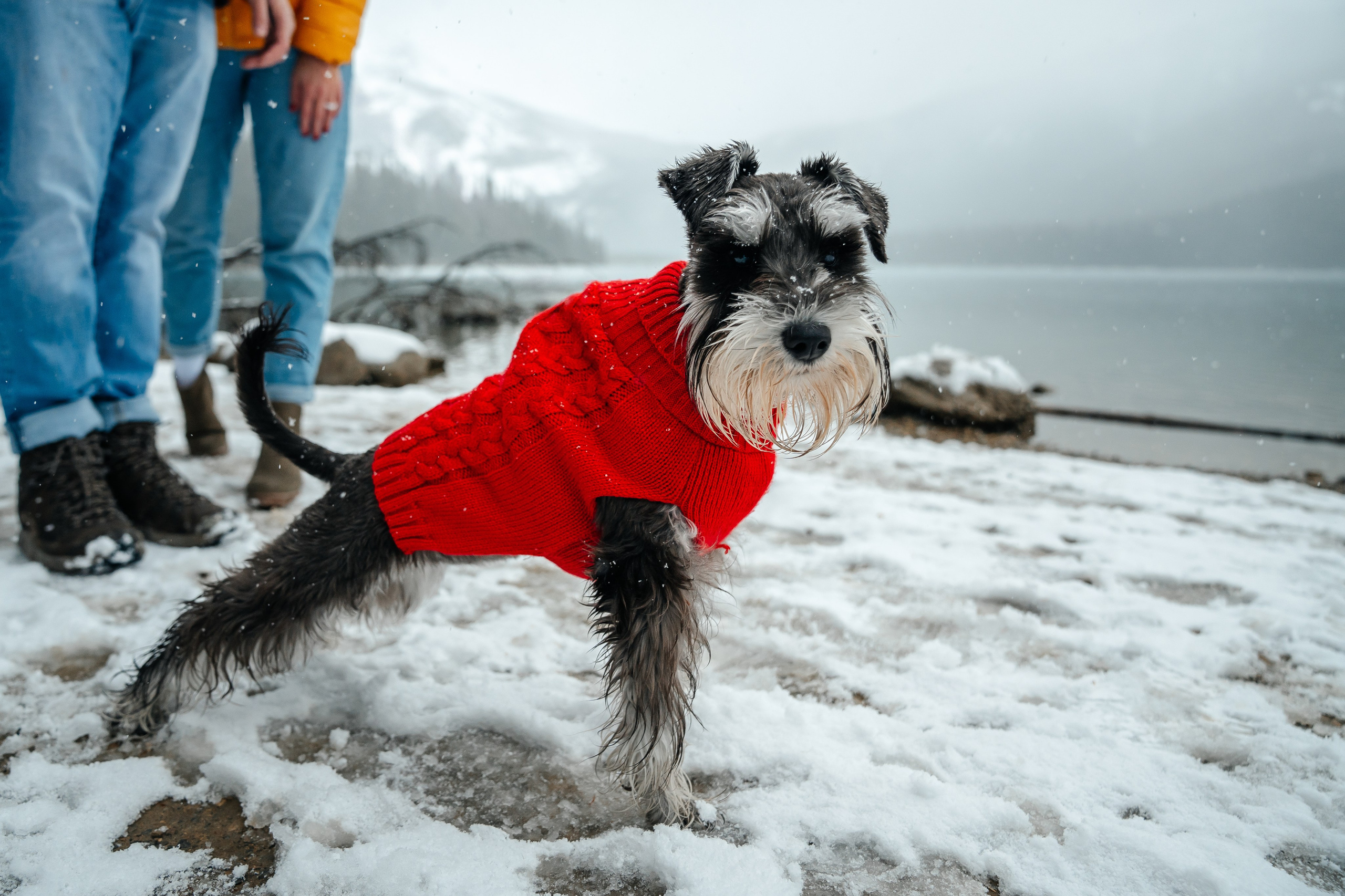 Nik & Olya | Banff Engagement Session in the Canadian Rockies | Pavlo Hlushchuk Photography