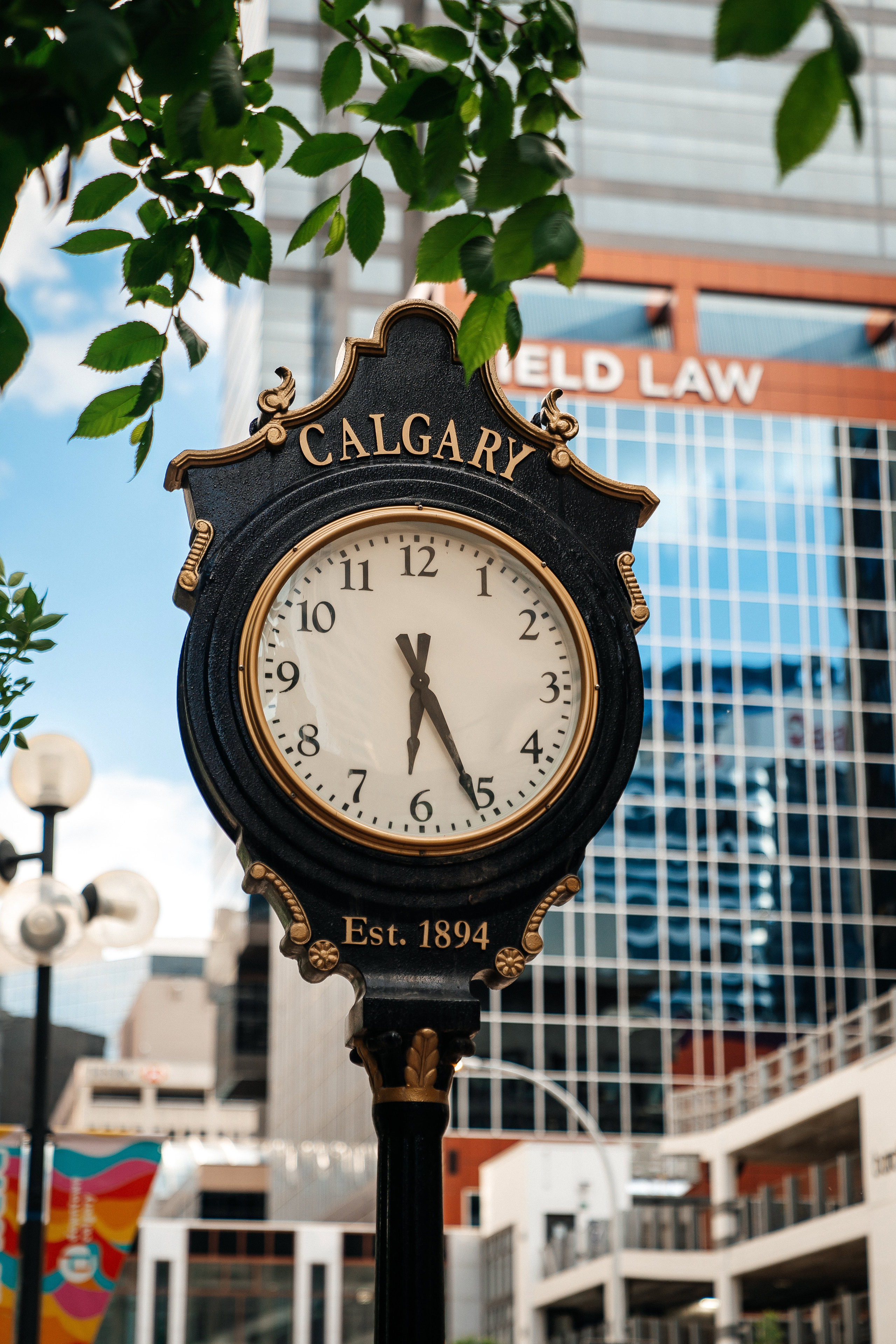 CALGARY Nick&Olha. Wedding and Family Photographer in Calgary