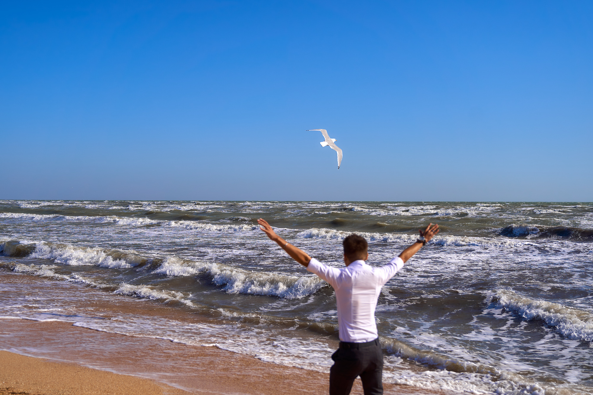 Ekaterina&Konstantin. Wedding and Family Photographer in Calgary