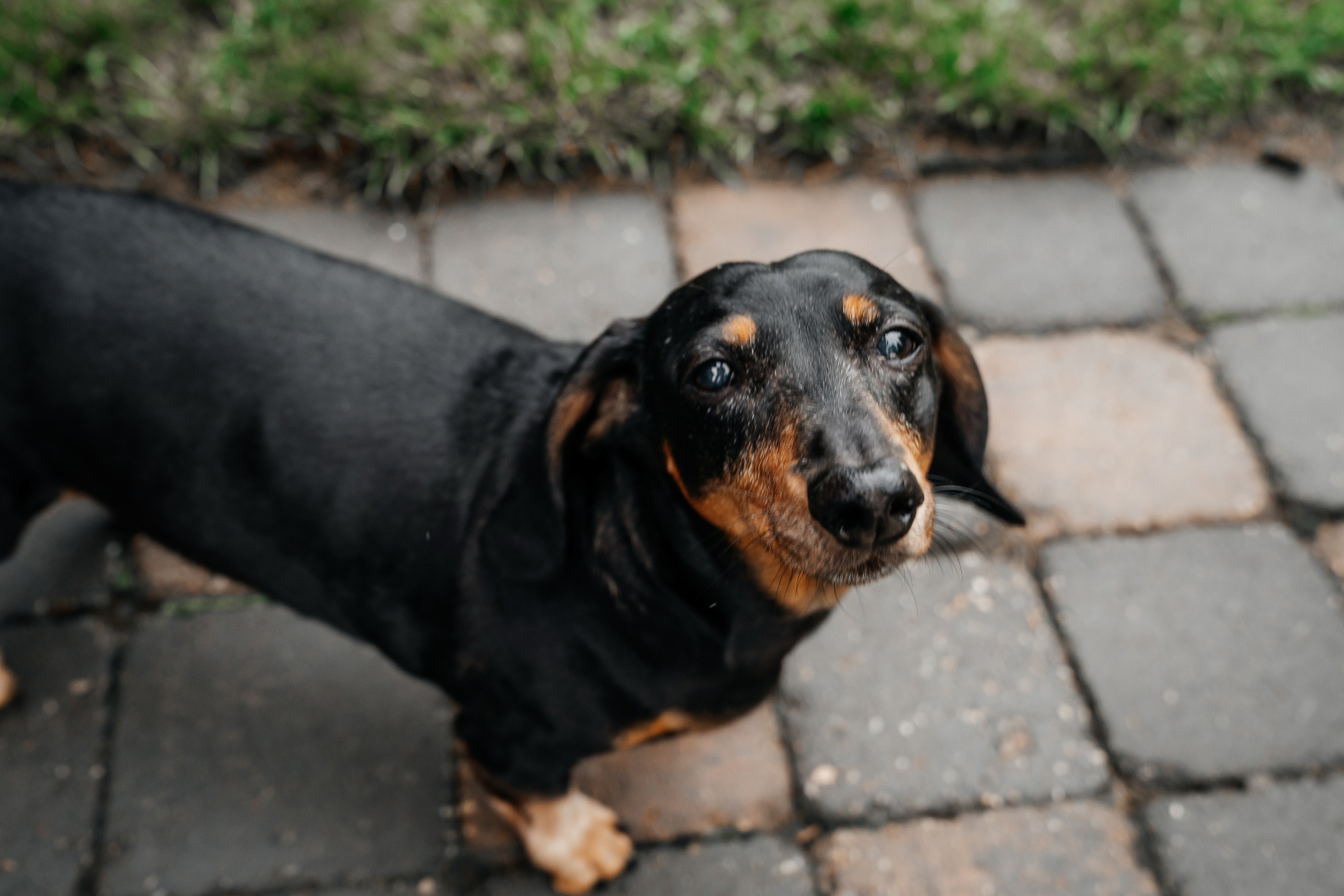 Tyrone & Glennda. Wedding and Family Photographer in Calgary