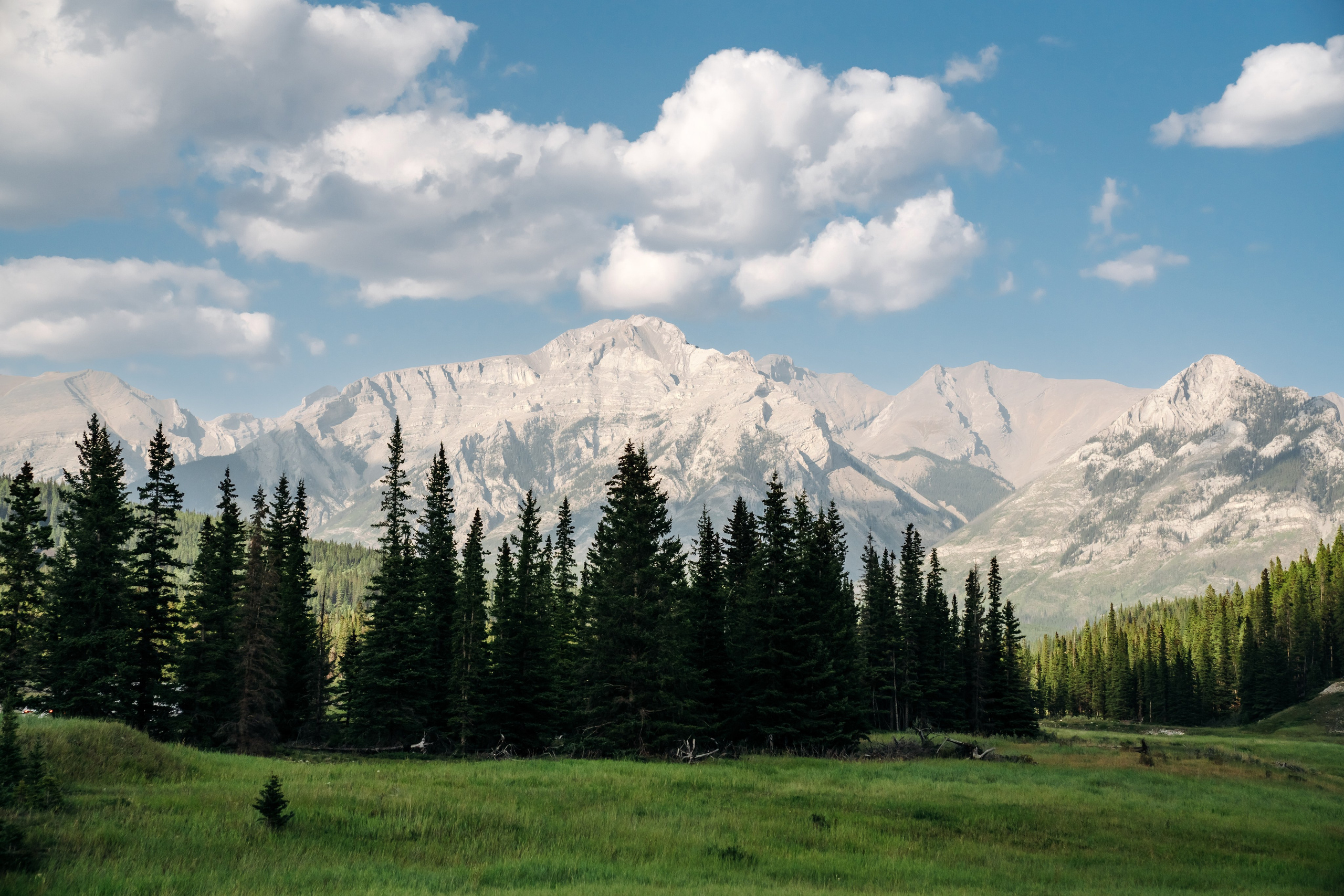 Tyrone & Glennda day 2. Wedding and Family Photographer in Calgary
