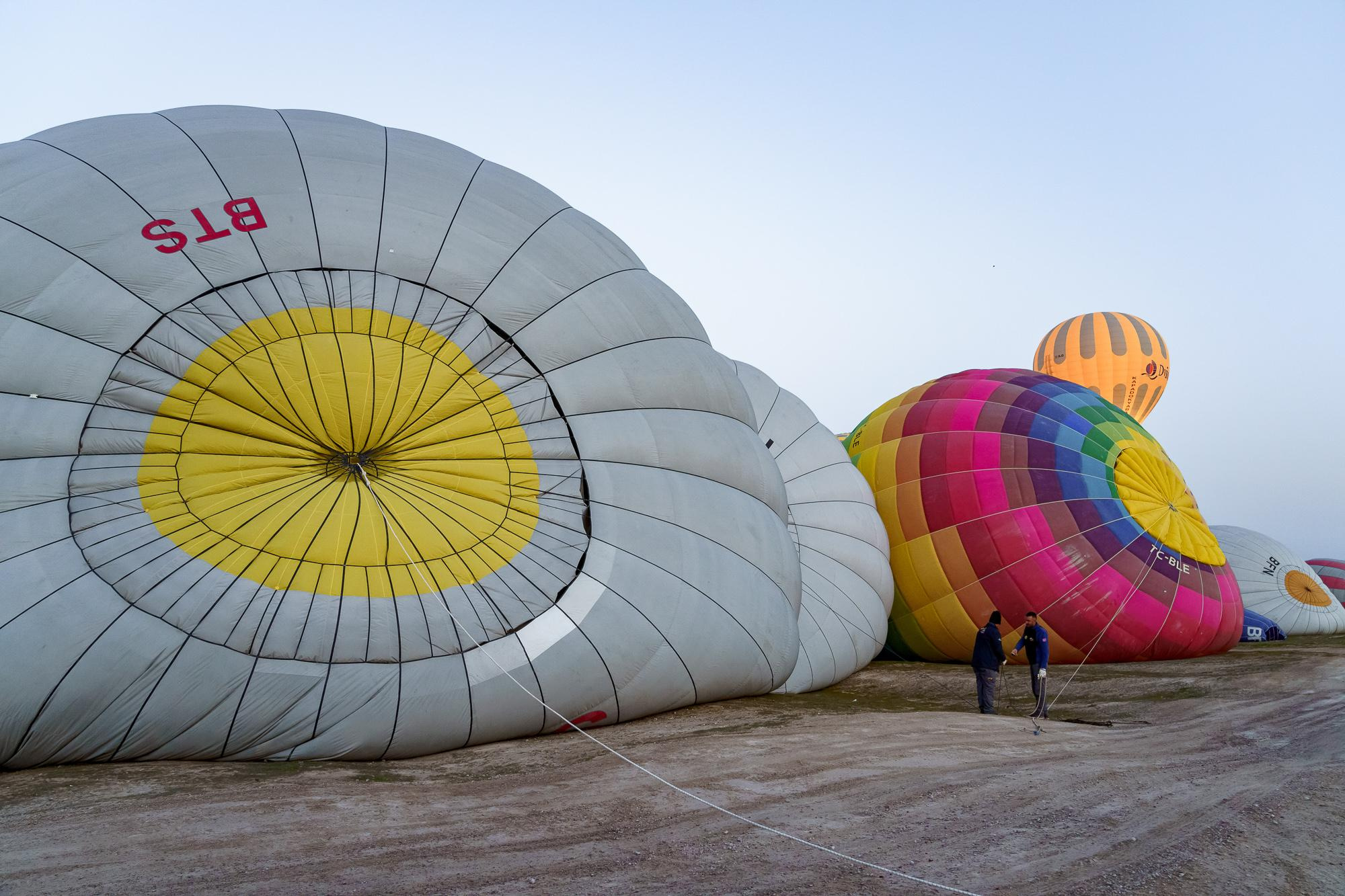 Anastasia&Alexander. Wedding and Family Photographer in Calgary