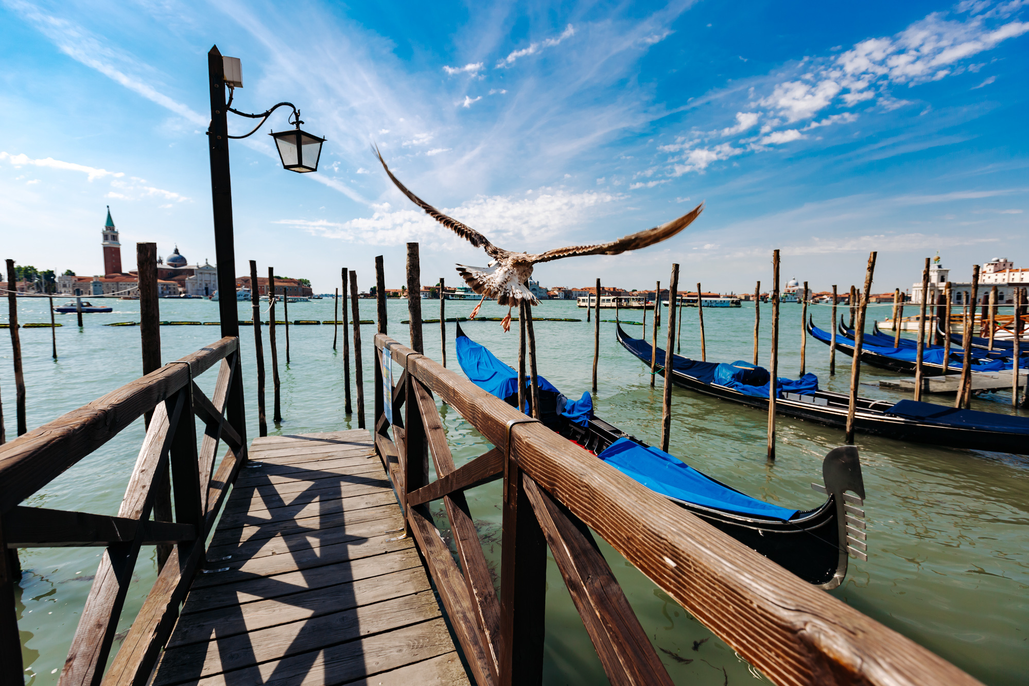VENICE. Wedding and Family Photographer in Calgary