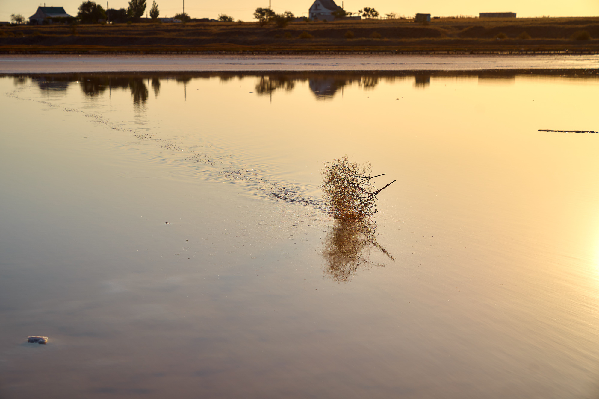 Ekaterina&Konstantin. Wedding and Family Photographer in Calgary
