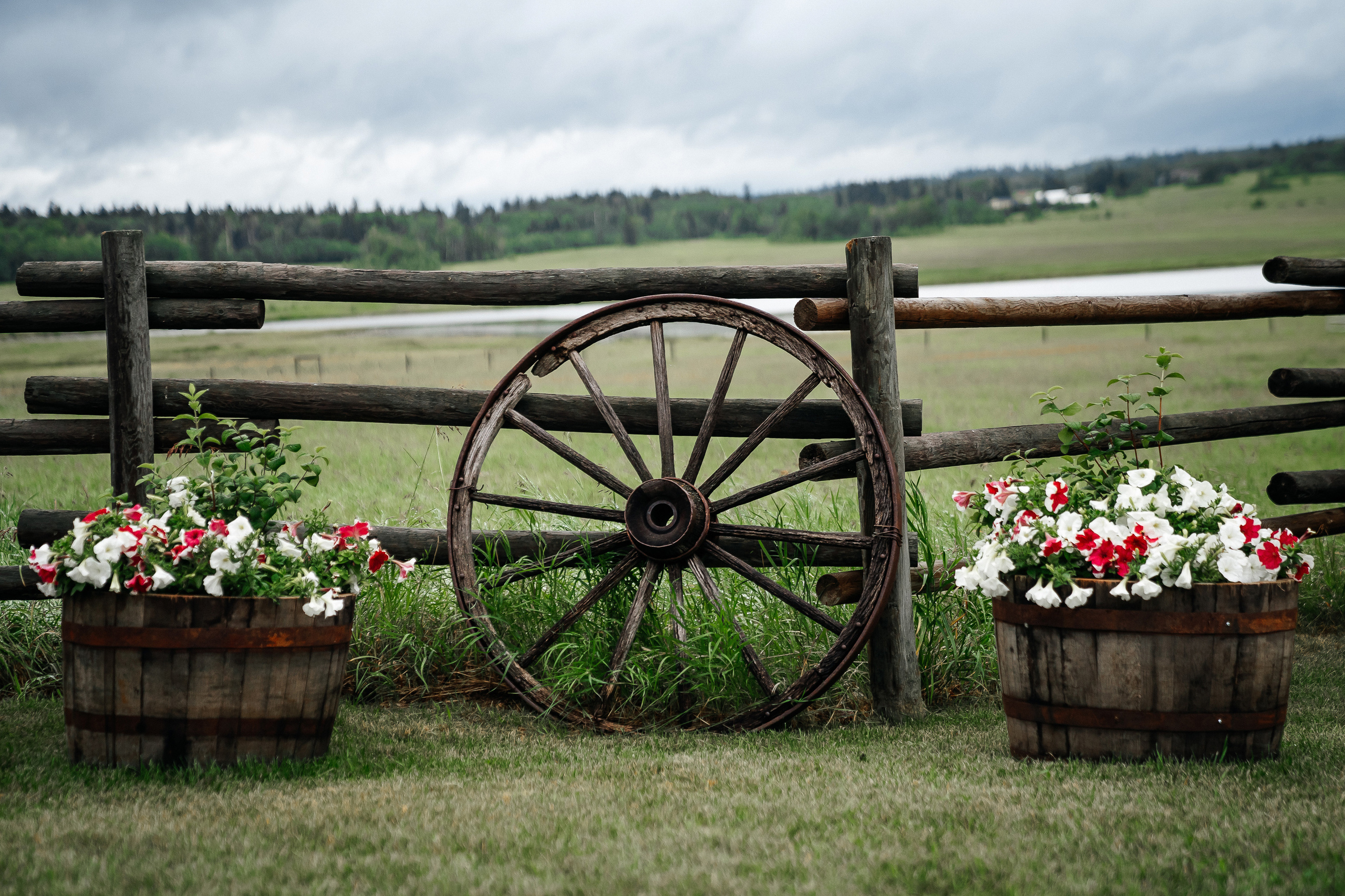 Tyrone & Glennda. Wedding and Family Photographer in Calgary