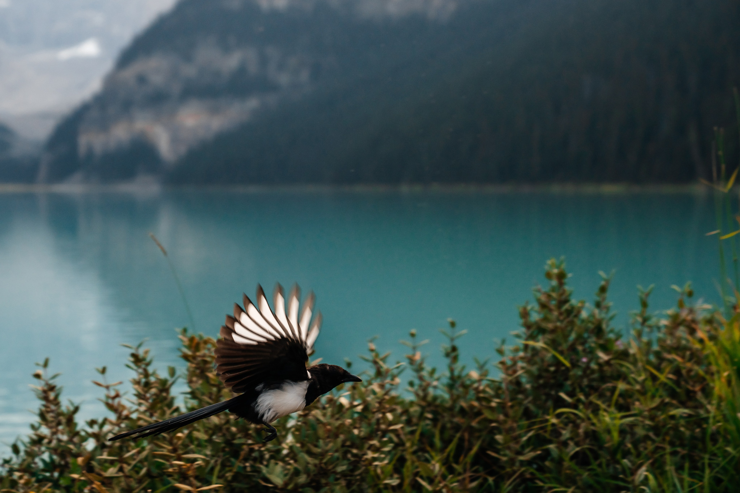 Tyrone & Glennda day 2. Wedding and Family Photographer in Calgary