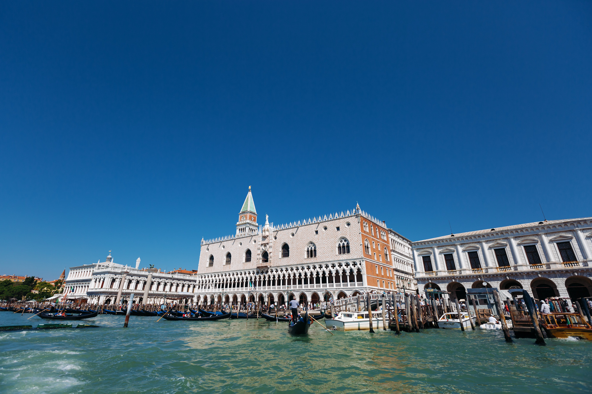 VENICE. Wedding and Family Photographer in Calgary