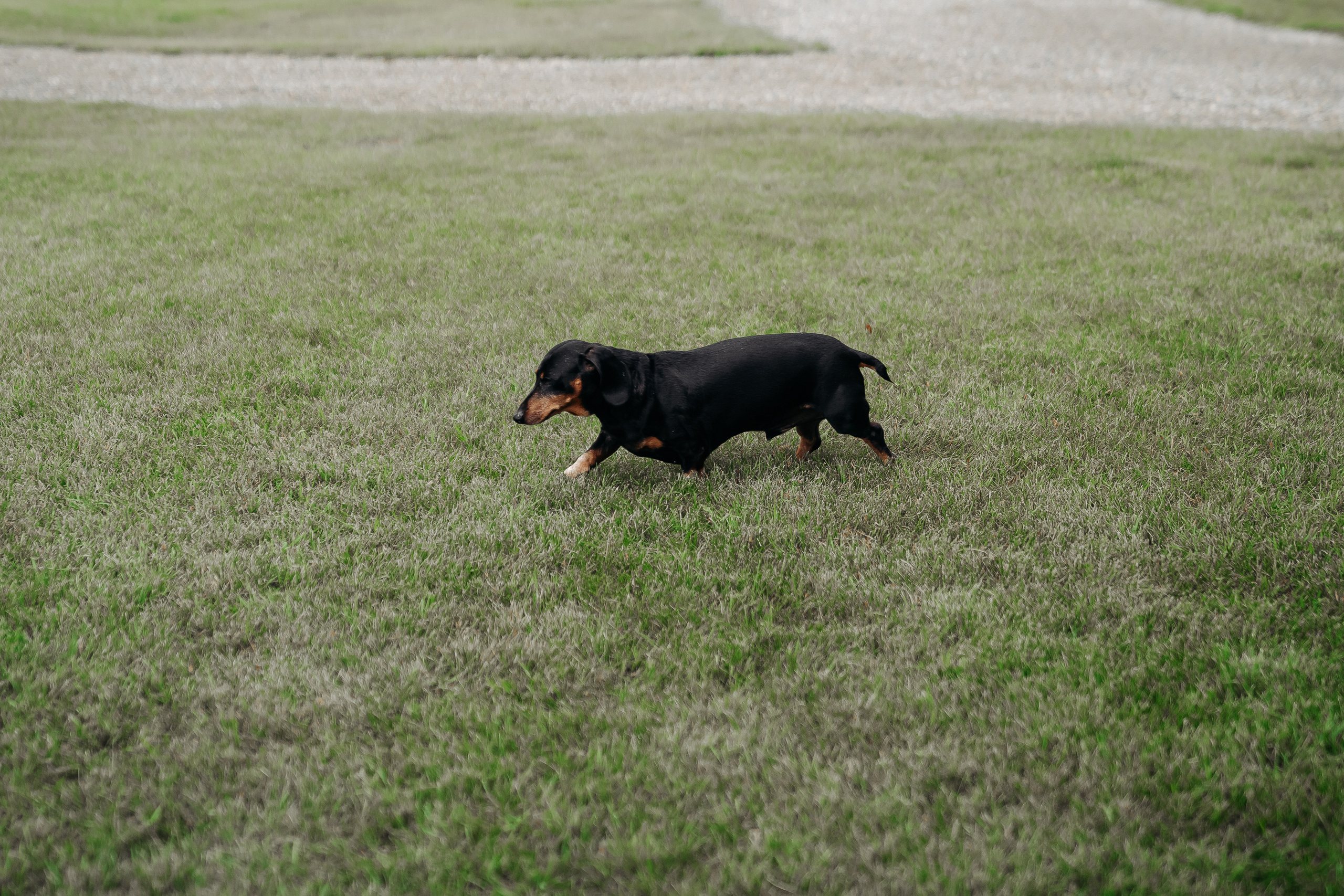 Tyrone & Glennda. Wedding and Family Photographer in Calgary