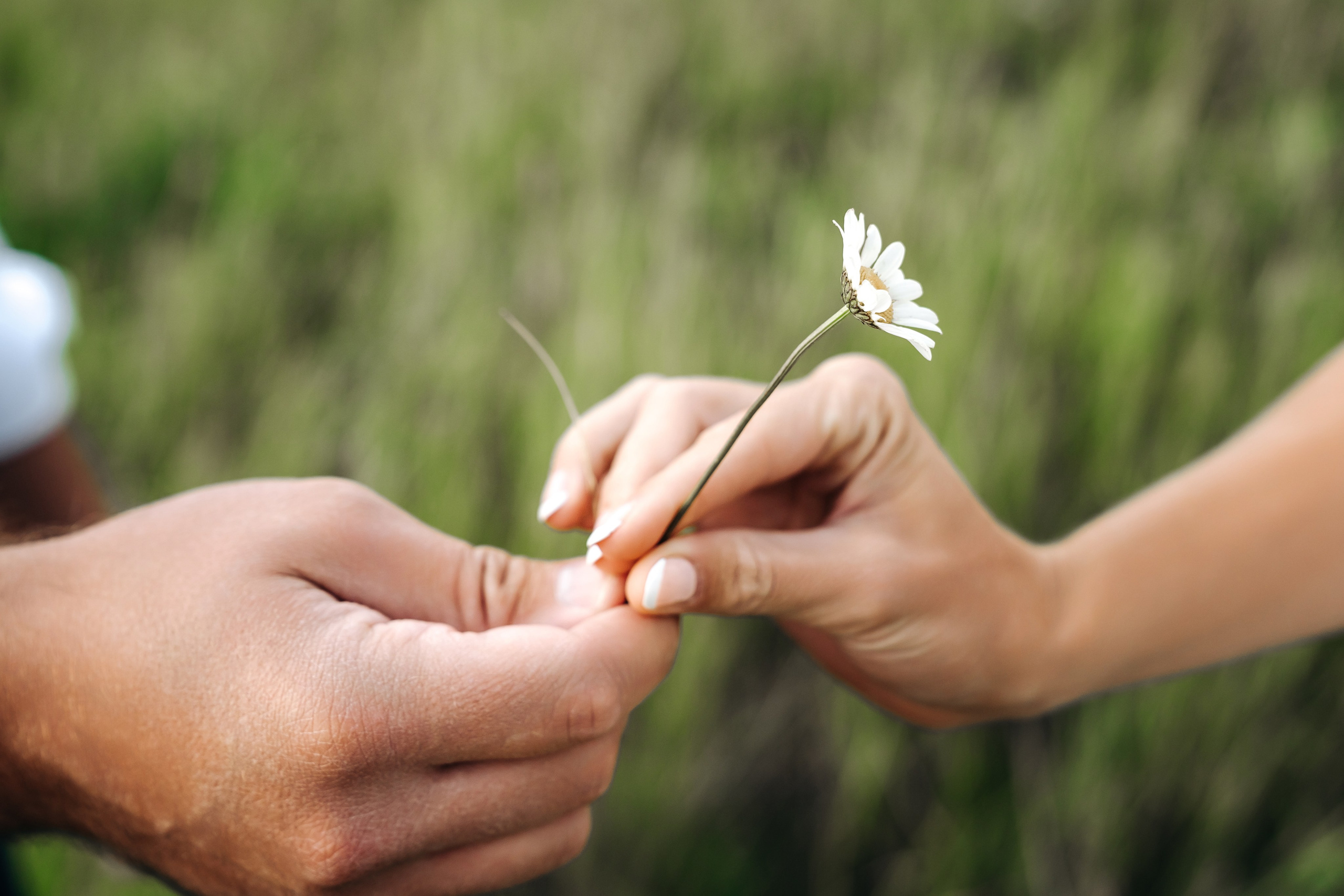 Tyrone & Glennda day 2. Wedding and Family Photographer in Calgary