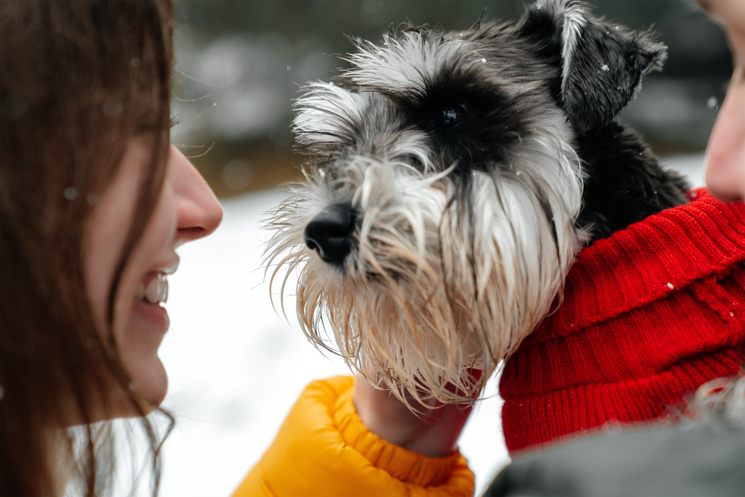 Nik & Olya | Banff Engagement Session in the Canadian Rockies | Pavlo Hlushchuk Photography
