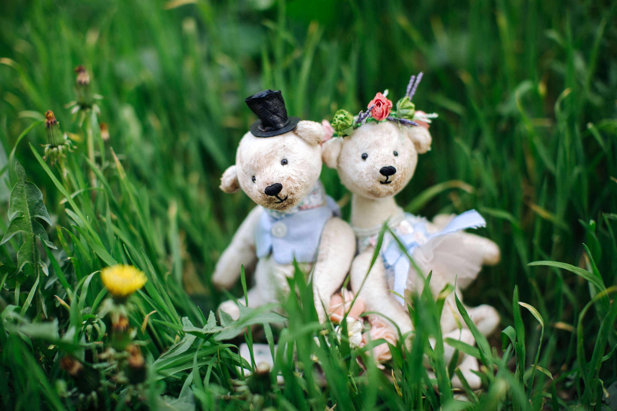 ZOREN. Wedding and Family Photographer in Calgary