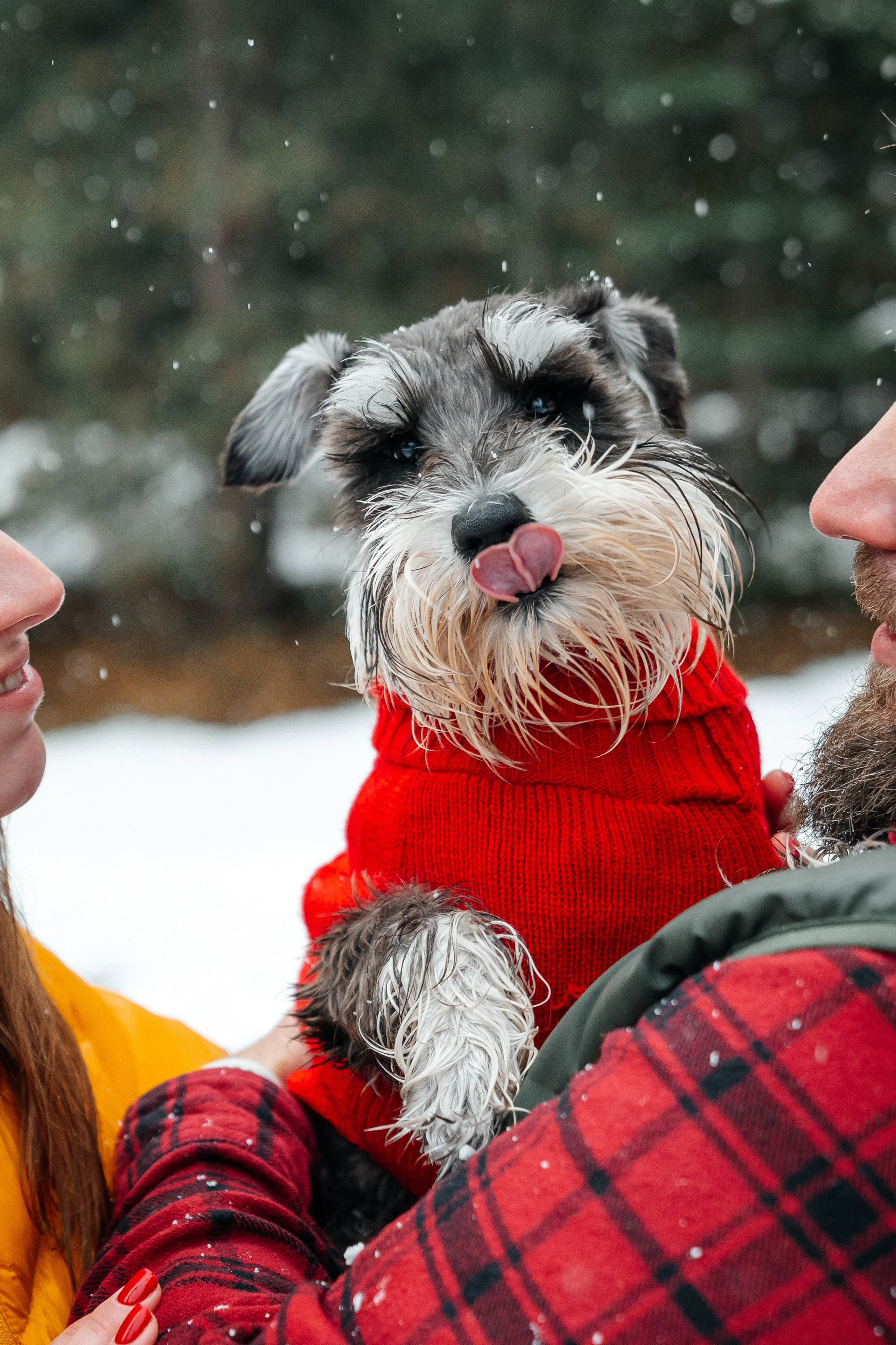 Nik & Olya | Banff Engagement Session in the Canadian Rockies | Pavlo Hlushchuk Photography